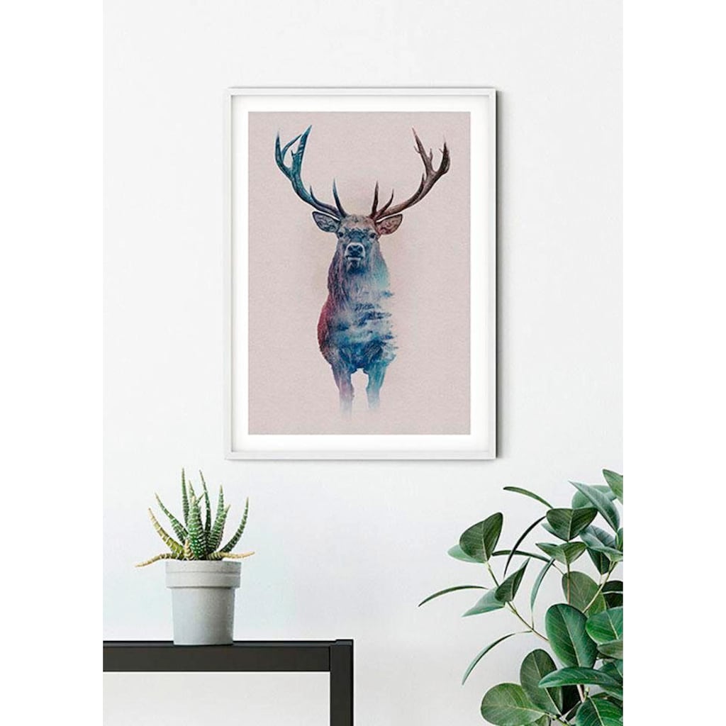 Komar Poster »Animals Forest Deer«, Tiere, (1 St.)