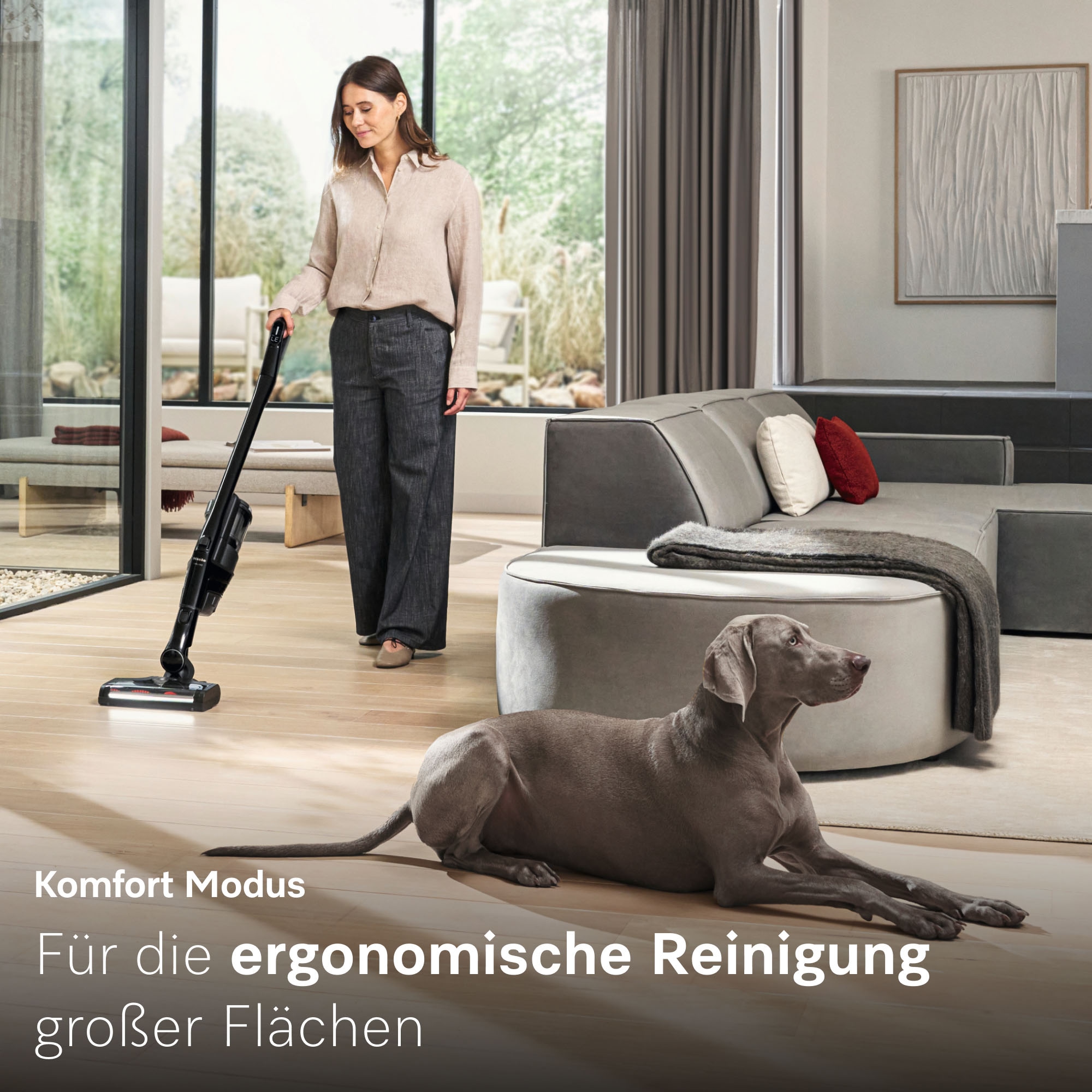 Miele Akku-Stielstaubsauger »Triflex HX3 Cat & Dog«