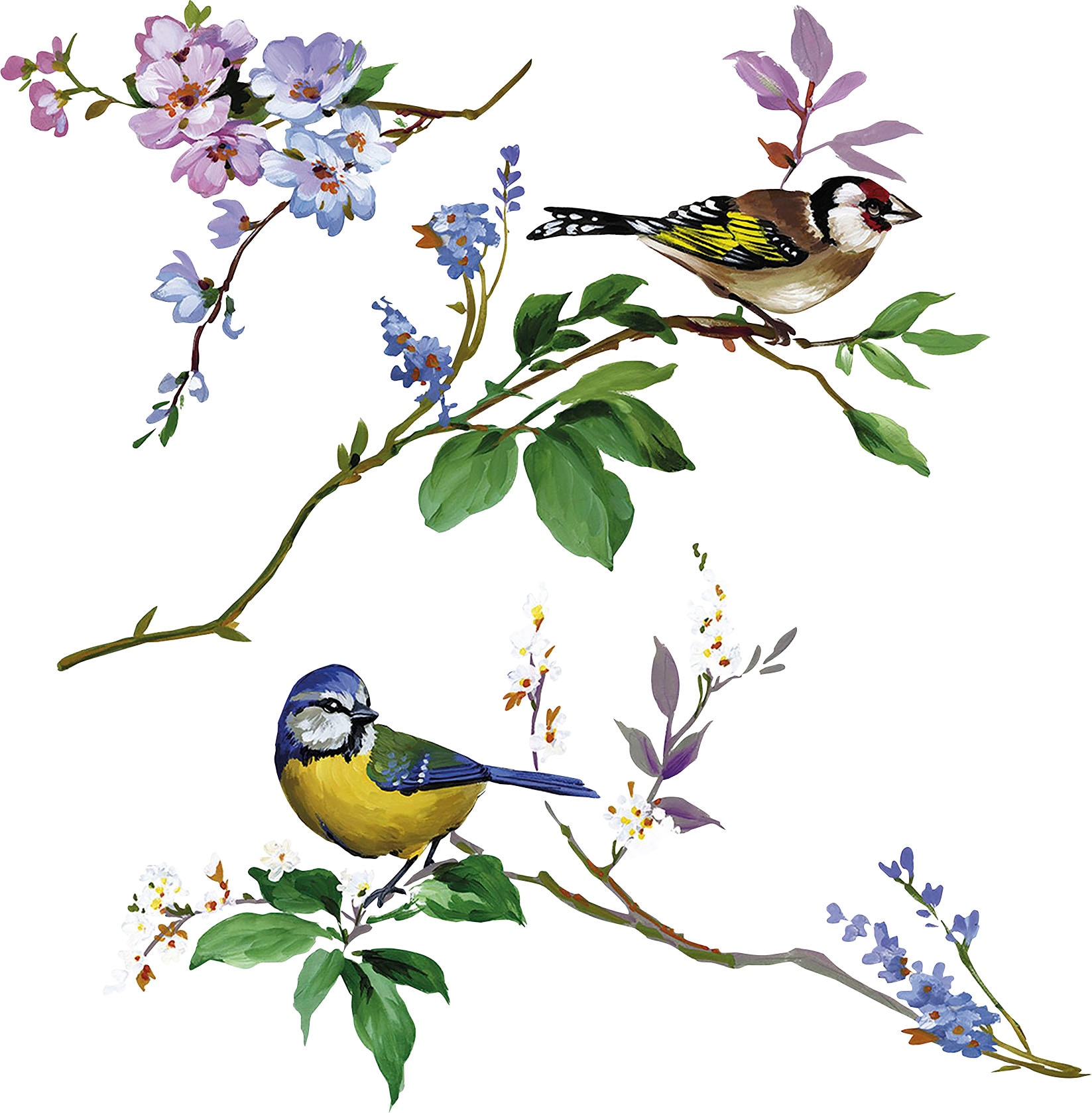Komar Fensterbild »Wedding BAUR Birds«, 31x31 | x selbsthaftend Höhe), cm (Breite