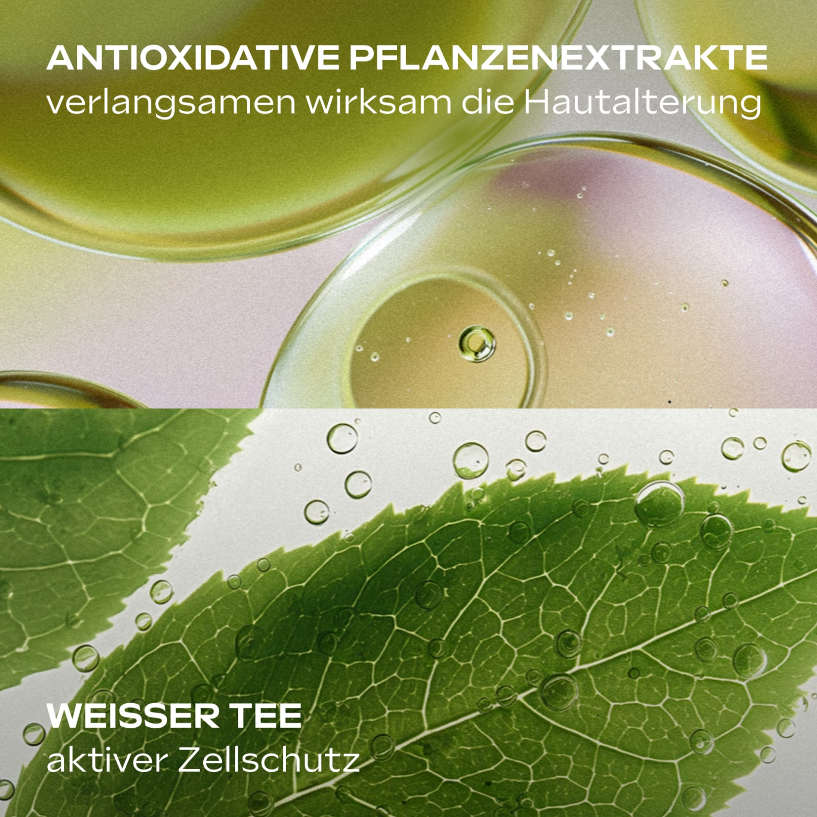 WELEDA Gesichtsserum »Slow Aging Astaxanthin Serum«