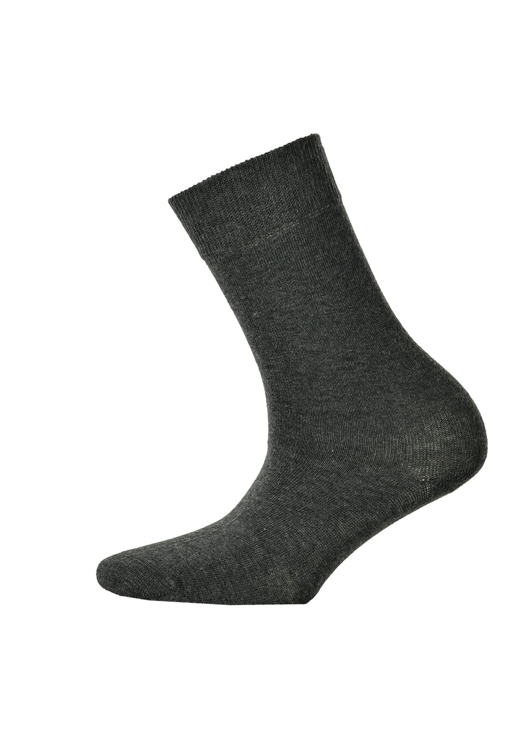 Hudson Kurzsocken "Socken 2er Pack" günstig online kaufen