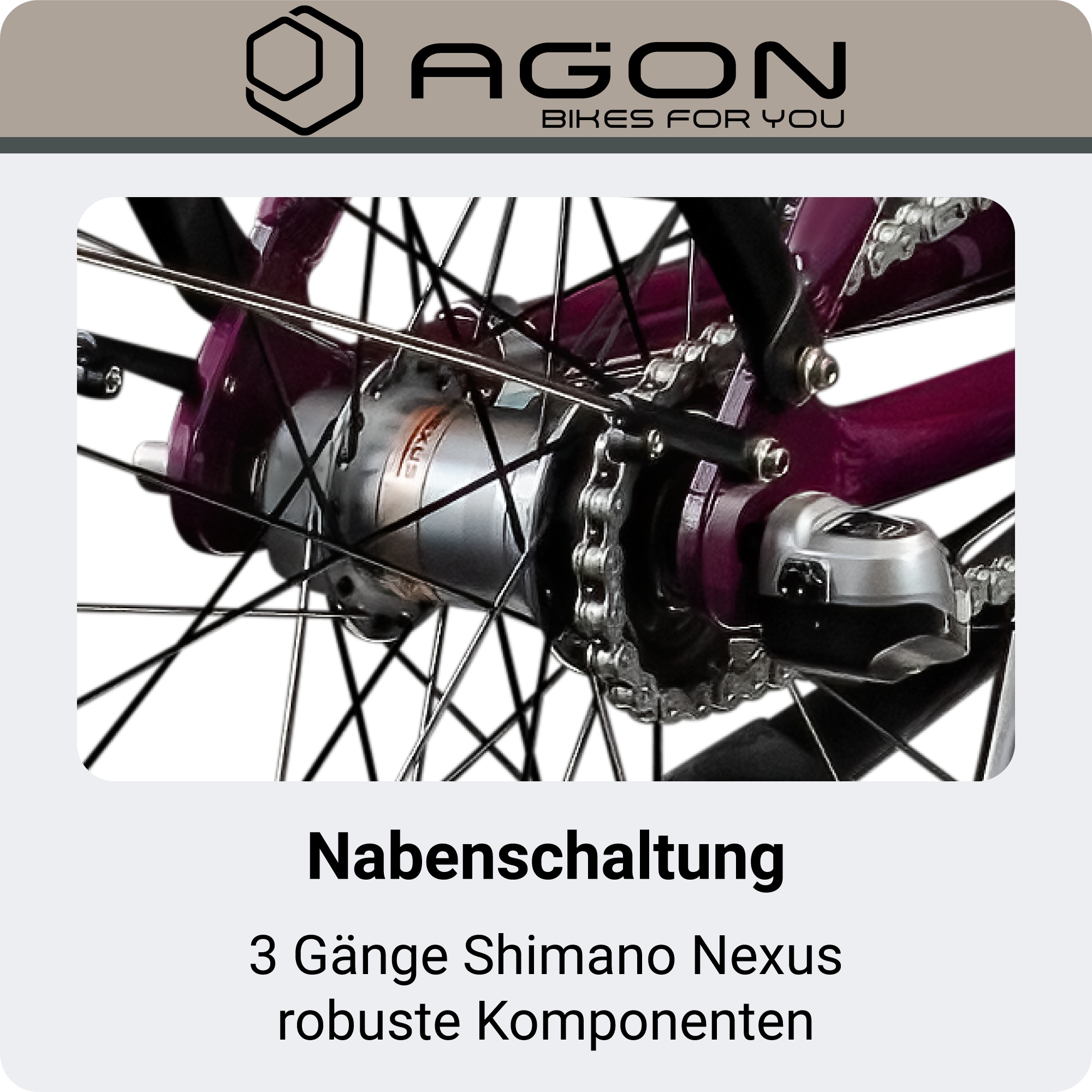 AGON »Axis« 3 Gang Nabenschaltung Frontmotor 250 W Pedelec, Elektrofahrrad für Damen u. Herren