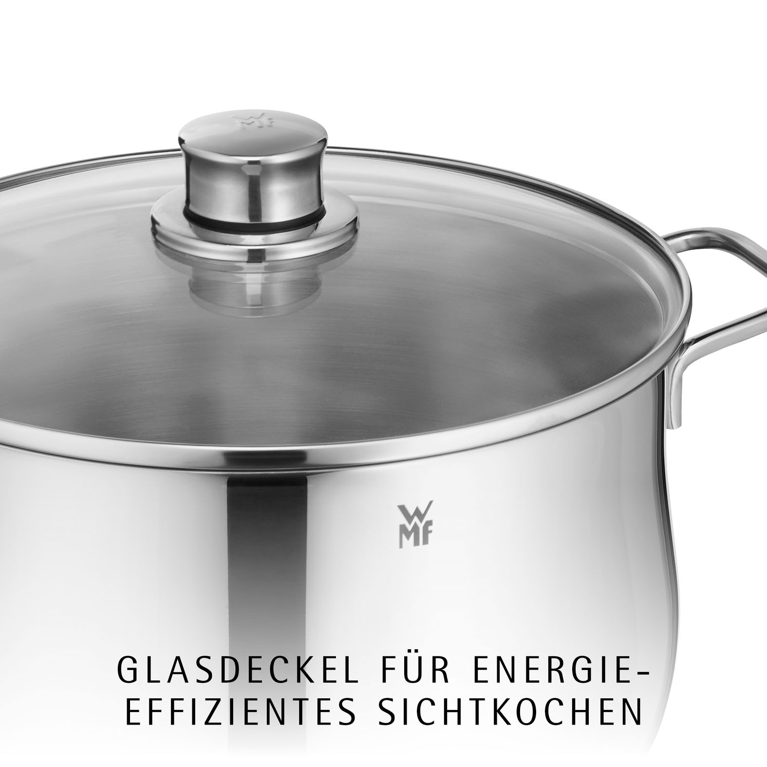 WMF Fleischtopf »Diadem Plus« 2 Stk. tlg. Cromargan® Edelstahl Rostfrei 18/10
