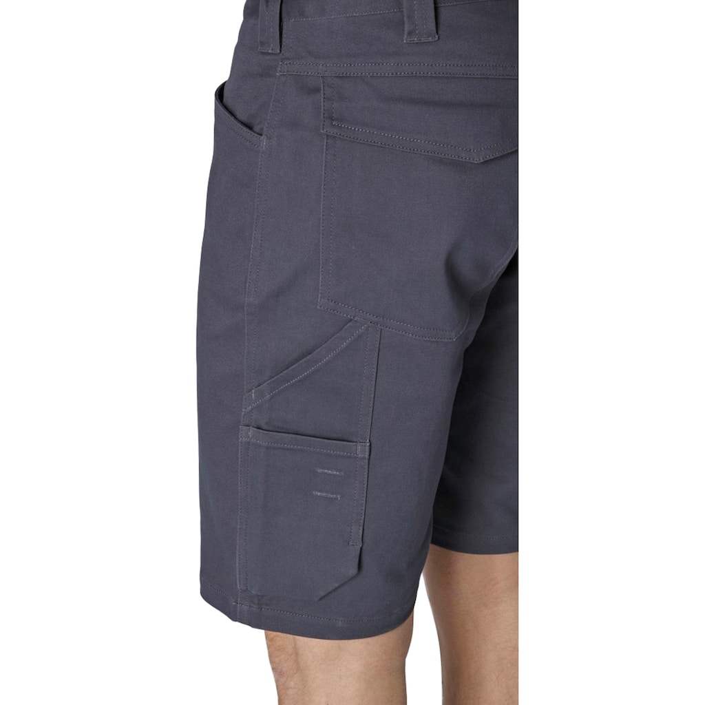 Dickies Arbeitsshorts »FLEX-Lead-In«