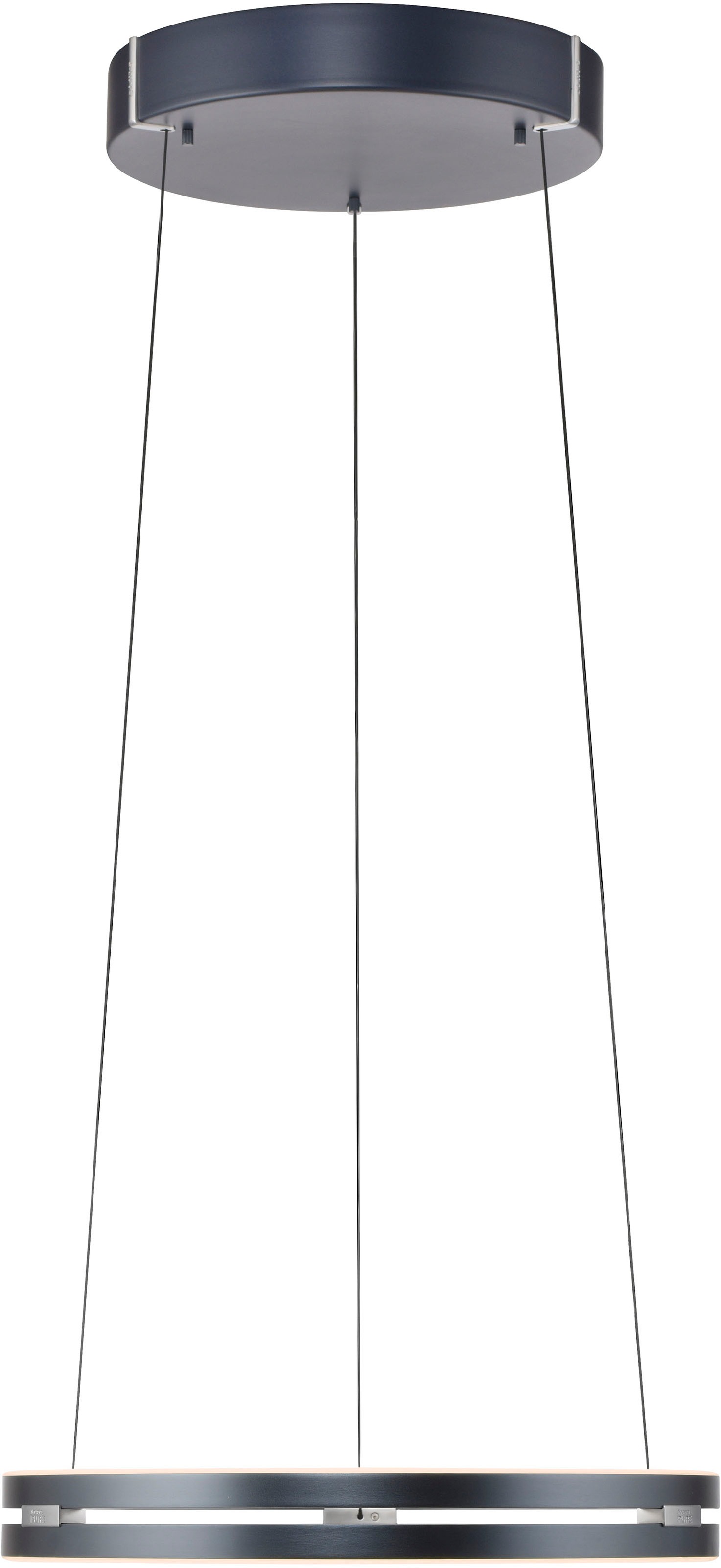 Neuhaus PURE LED Pendelleuchte »PURE E-Loop« LED-Board 1 Stk. warmweiß - kaltweiß e-LIFT® Funktion, CCT, dimmbar über Fernbedienung