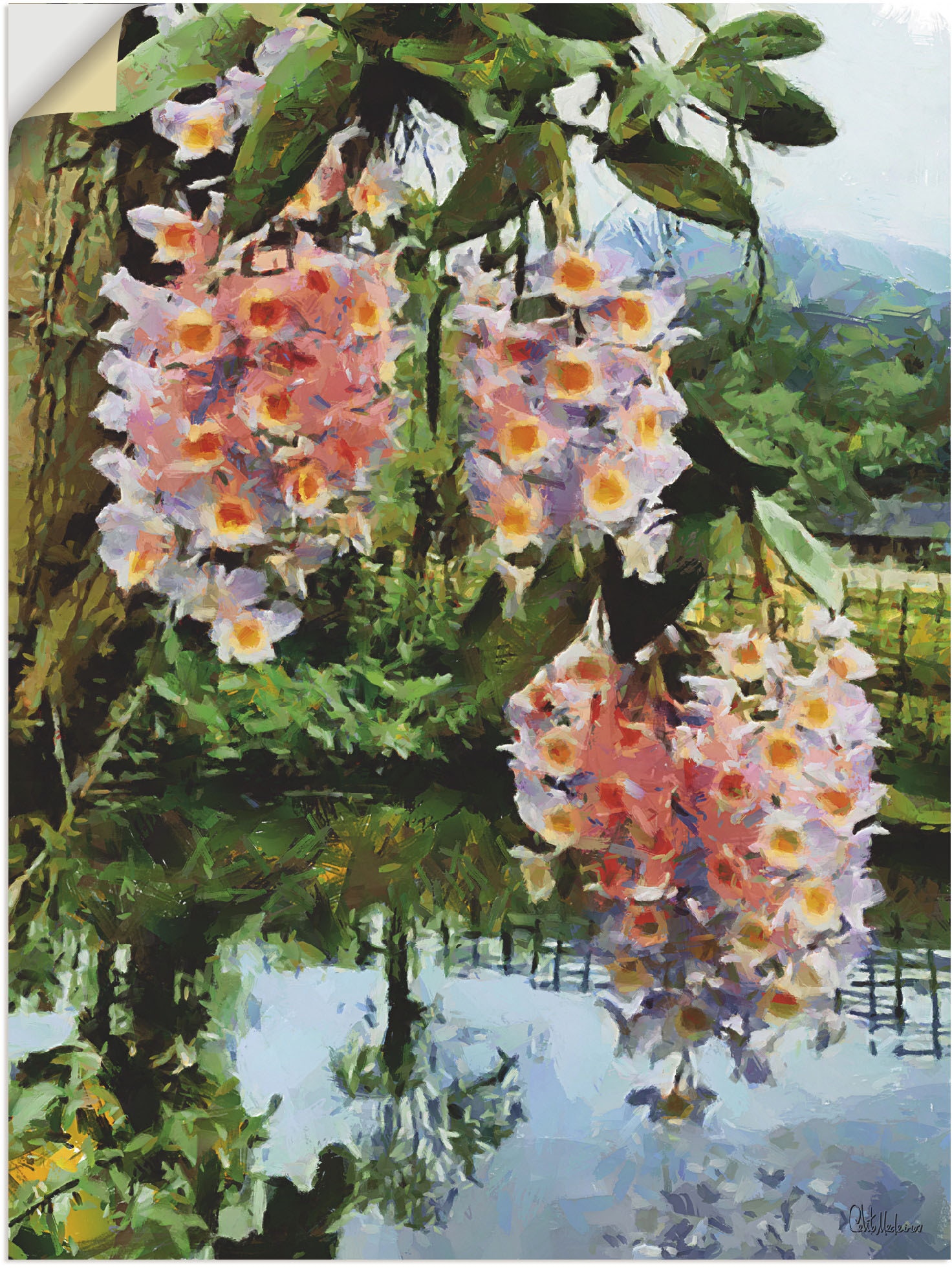 Artland Wandbild »Blühender tropischer Baum II«, Baumbilder, (1 St.), als  Alubild, Leinwandbild, Wandaufkleber oder Poster in versch. Größen  bestellen | BAUR