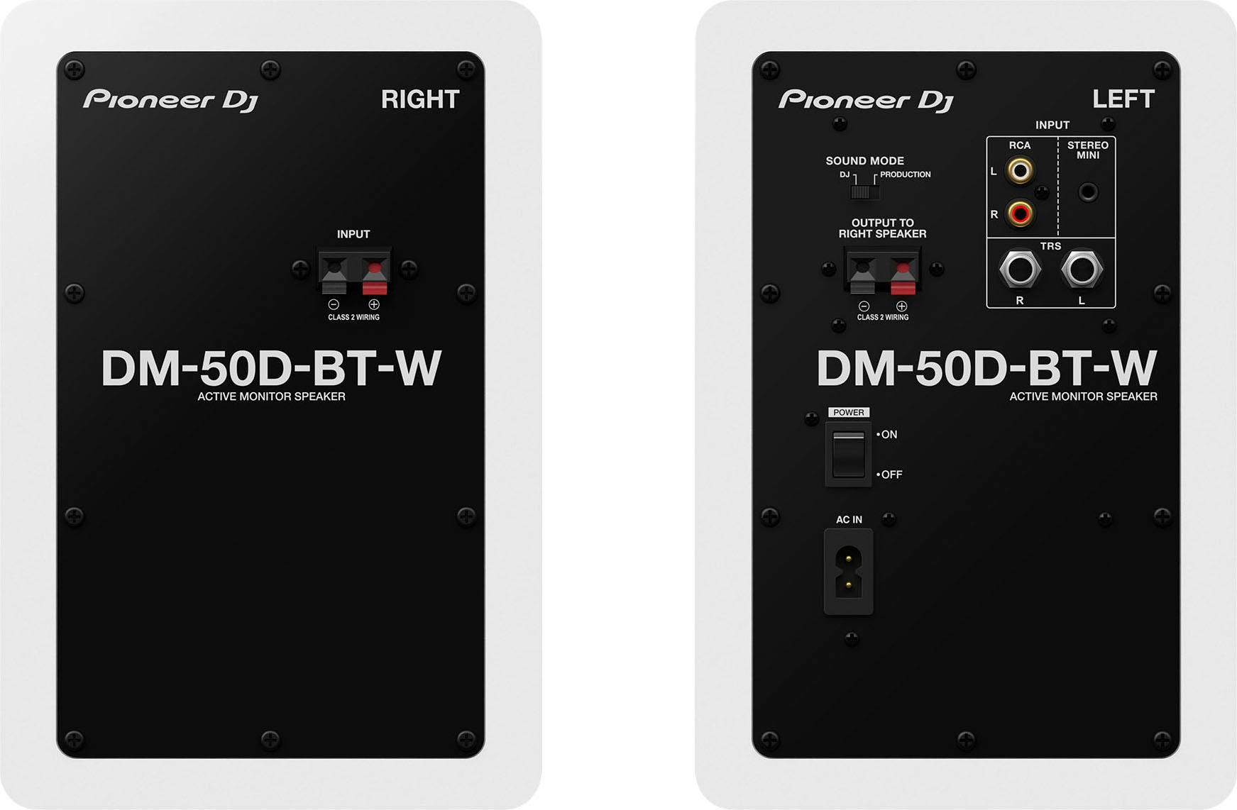 Pioneer DJ Bluetooth-Lautsprecher »DM-50D-BT«