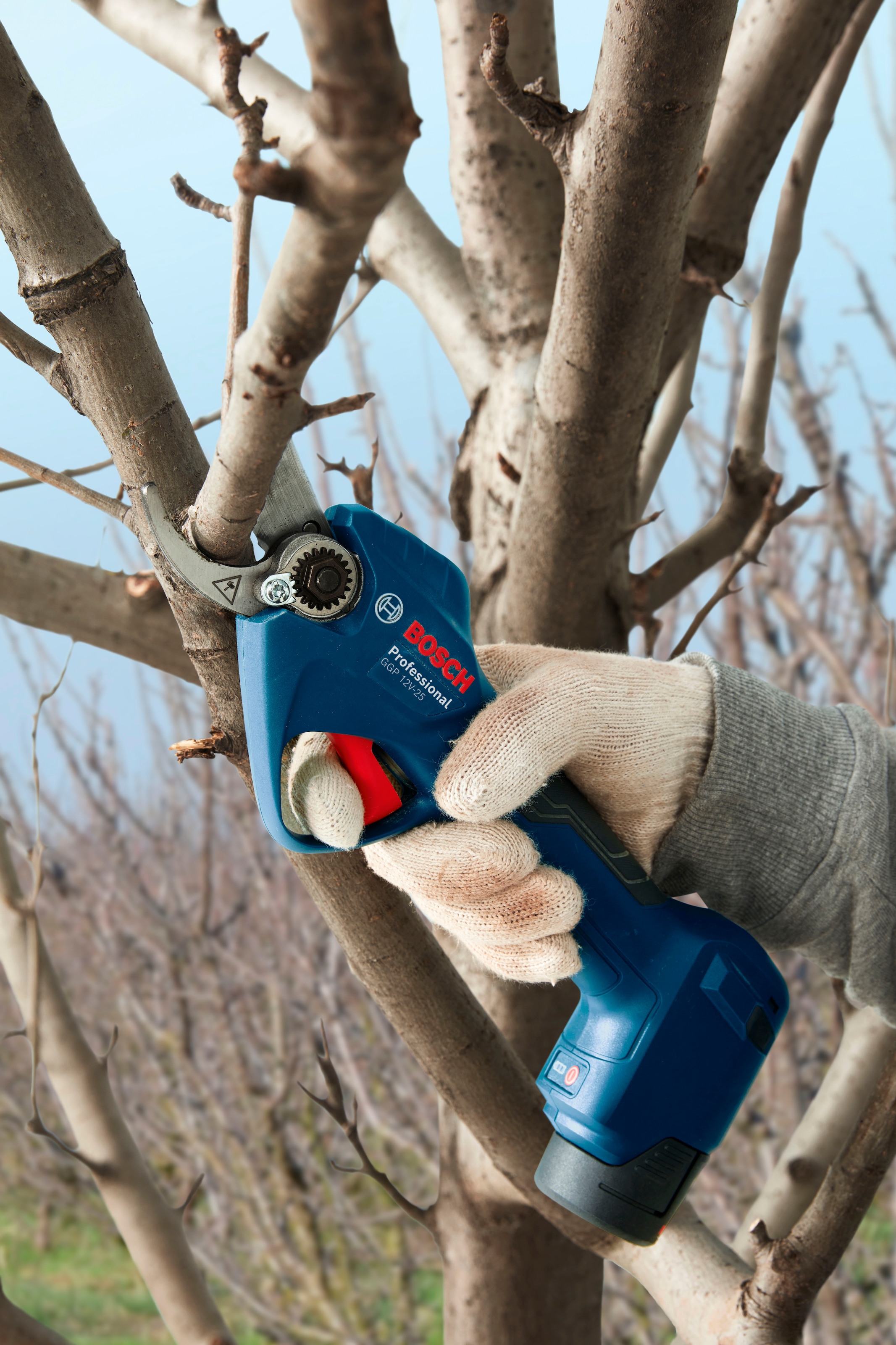 Bosch Professional Akku-Astschere »»GGP 12V-25« Complete Kit« (BxLxH: 14x34x15 cm, )  Inkl. 2 x Akku GBA 12V 3.0Ah