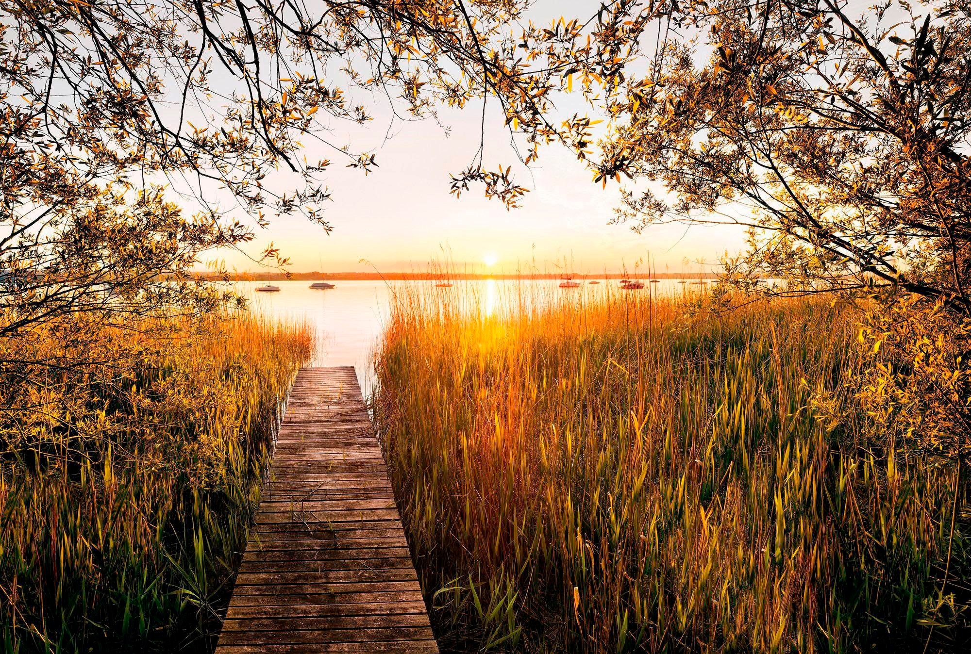 Komar Vliestapete "Digitaldruck Vlies - Lakeside - Größe 400 x 260 cm" bedruckt glatt Wohnzimmer, Schlafzimmer