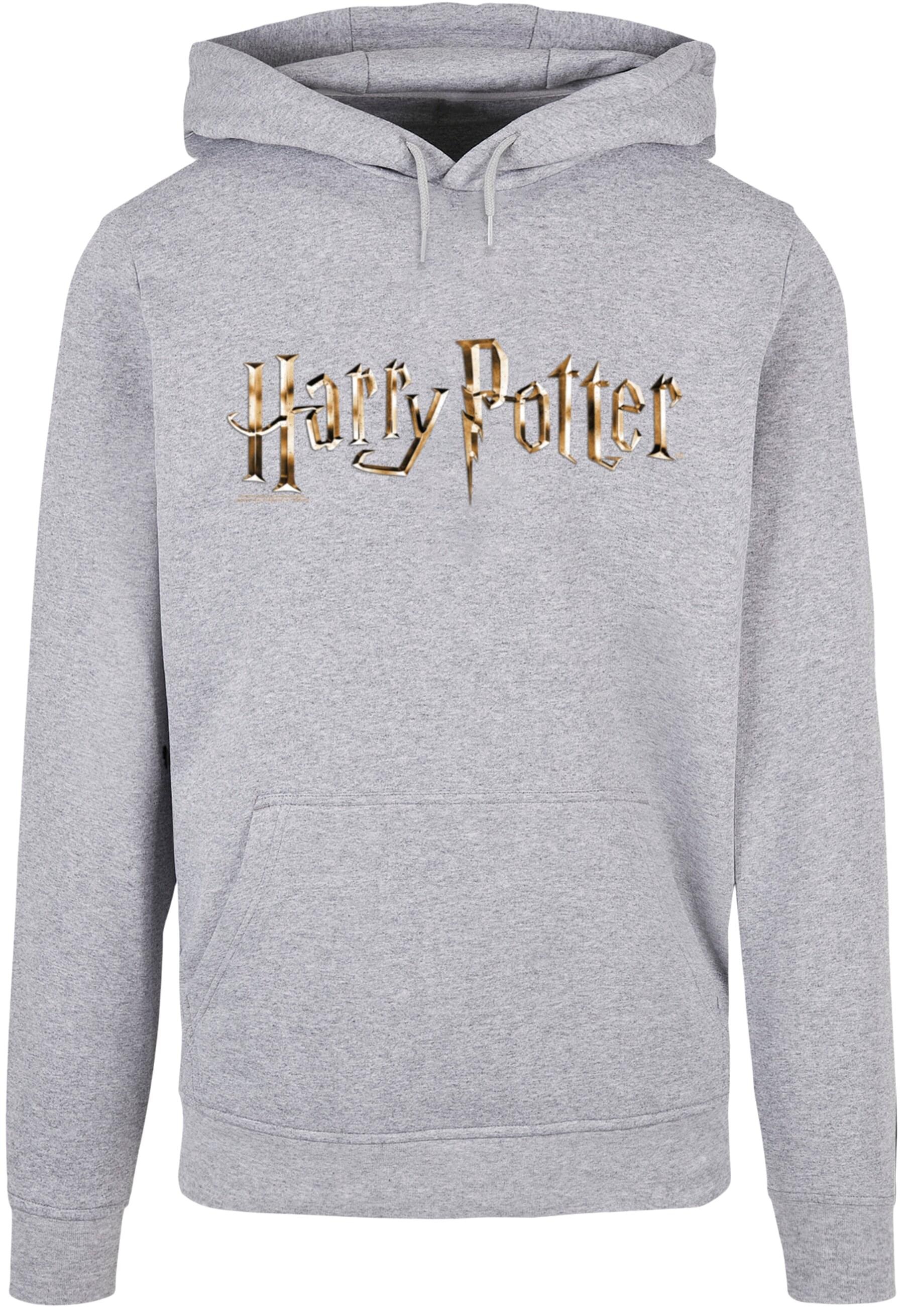 ABSOLUTE CULT Kapuzensweatshirt "ABSOLUTE CULT Herren Harry Potter - Colour günstig online kaufen