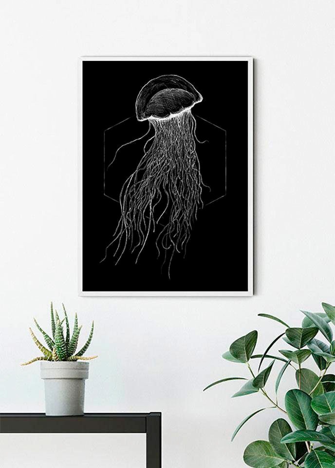 Komar Bild »Jellyfish Black«, Tiere, (1 St.), Wandbild zur Dekoration - ohne Rahmen