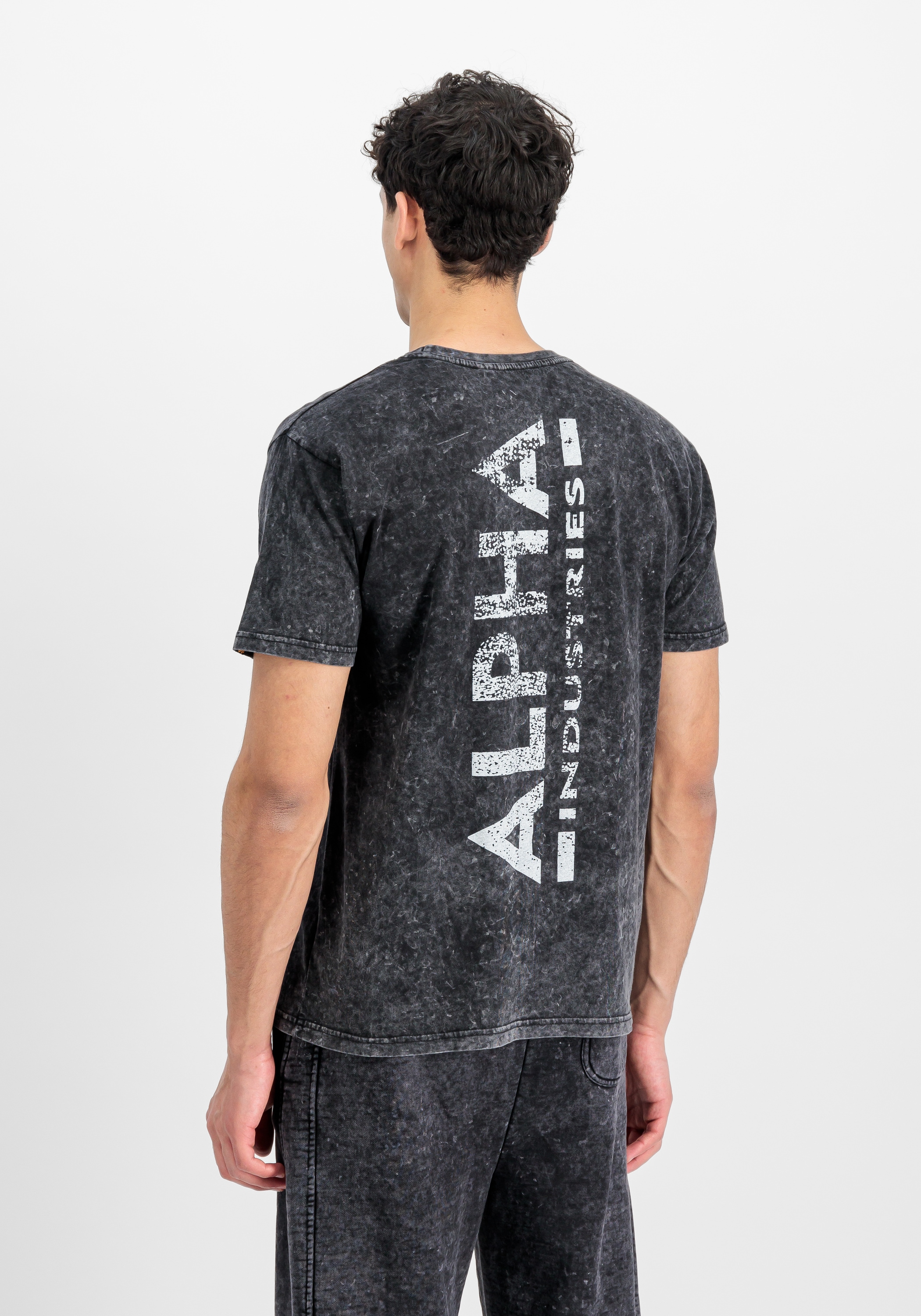 Alpha Industries T-Shirt »Vintage Backprint T-Shirt«