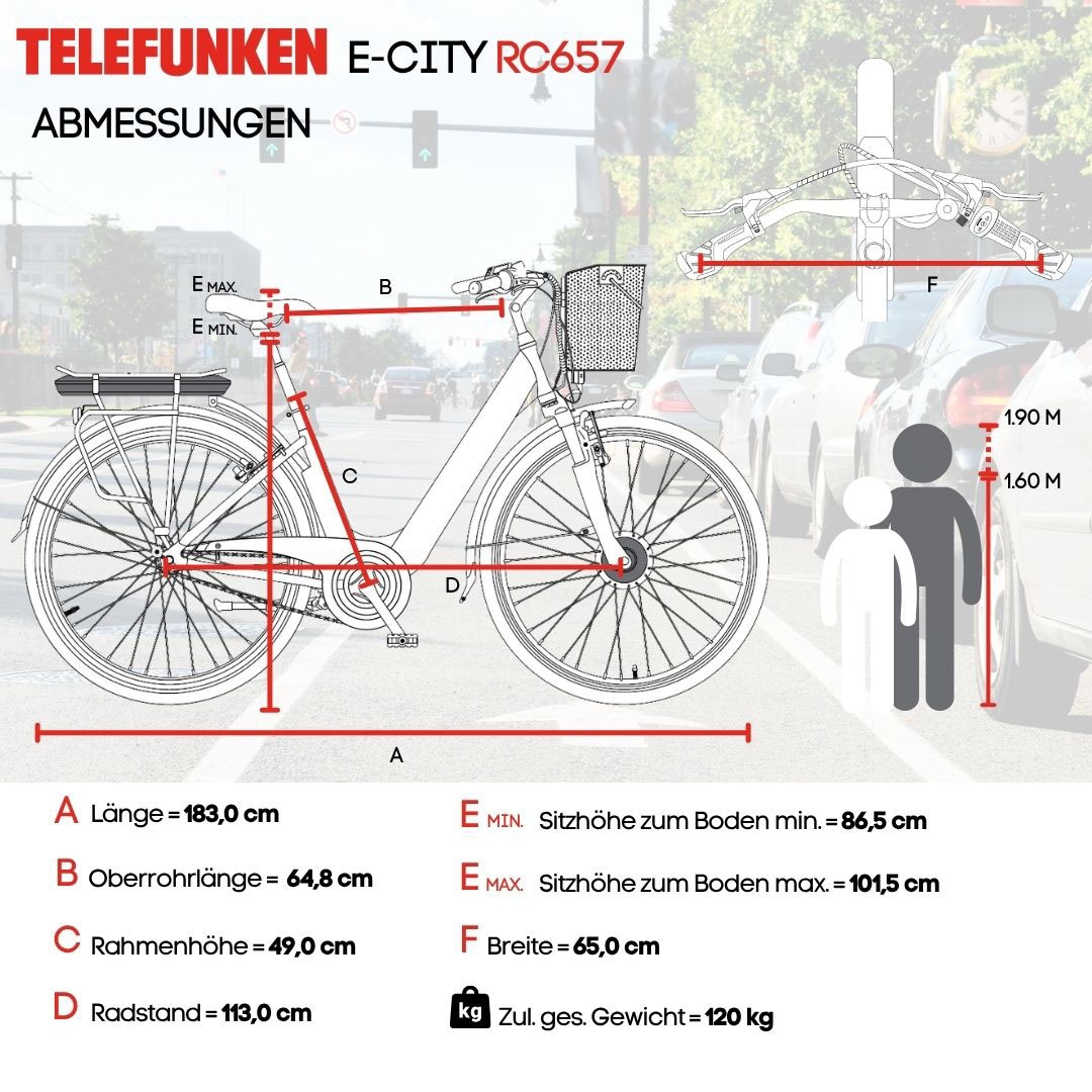 Telefunken E-Bike »Multitalent RC657«, 7 Gang, Shimano, Nexus, Frontmotor 250 W, Pedelec, Elektrofahrrad für Damen u. Herren