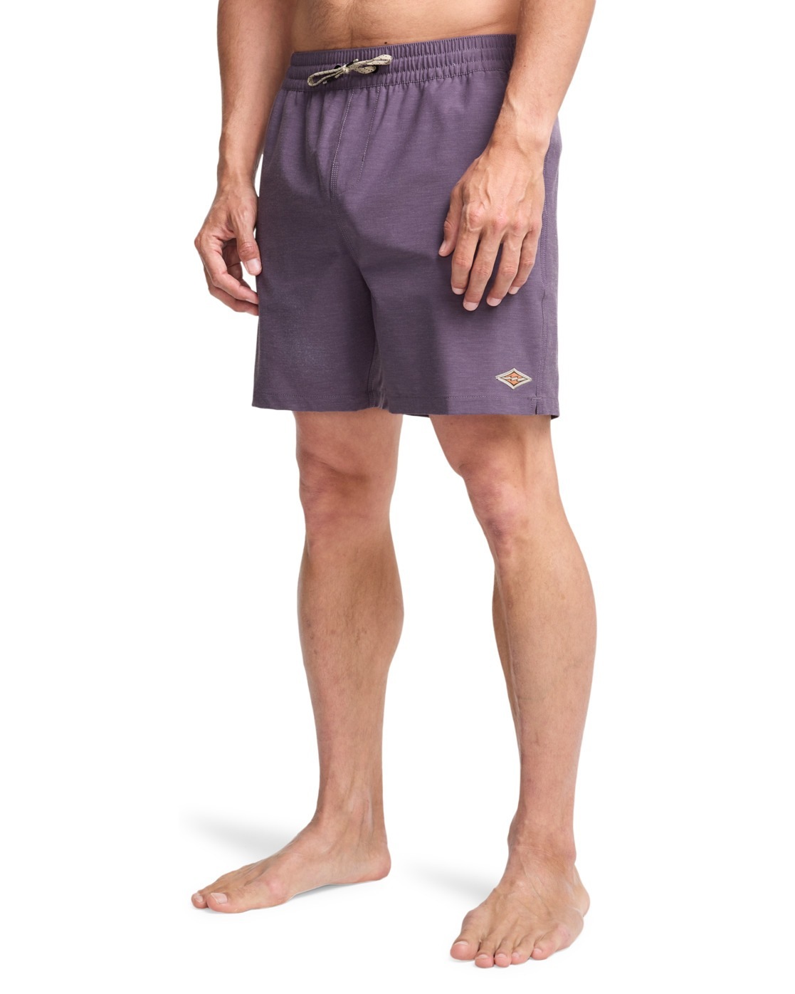 Billabong Every Other Day Layback Boardshorts Dusty Grape S 3