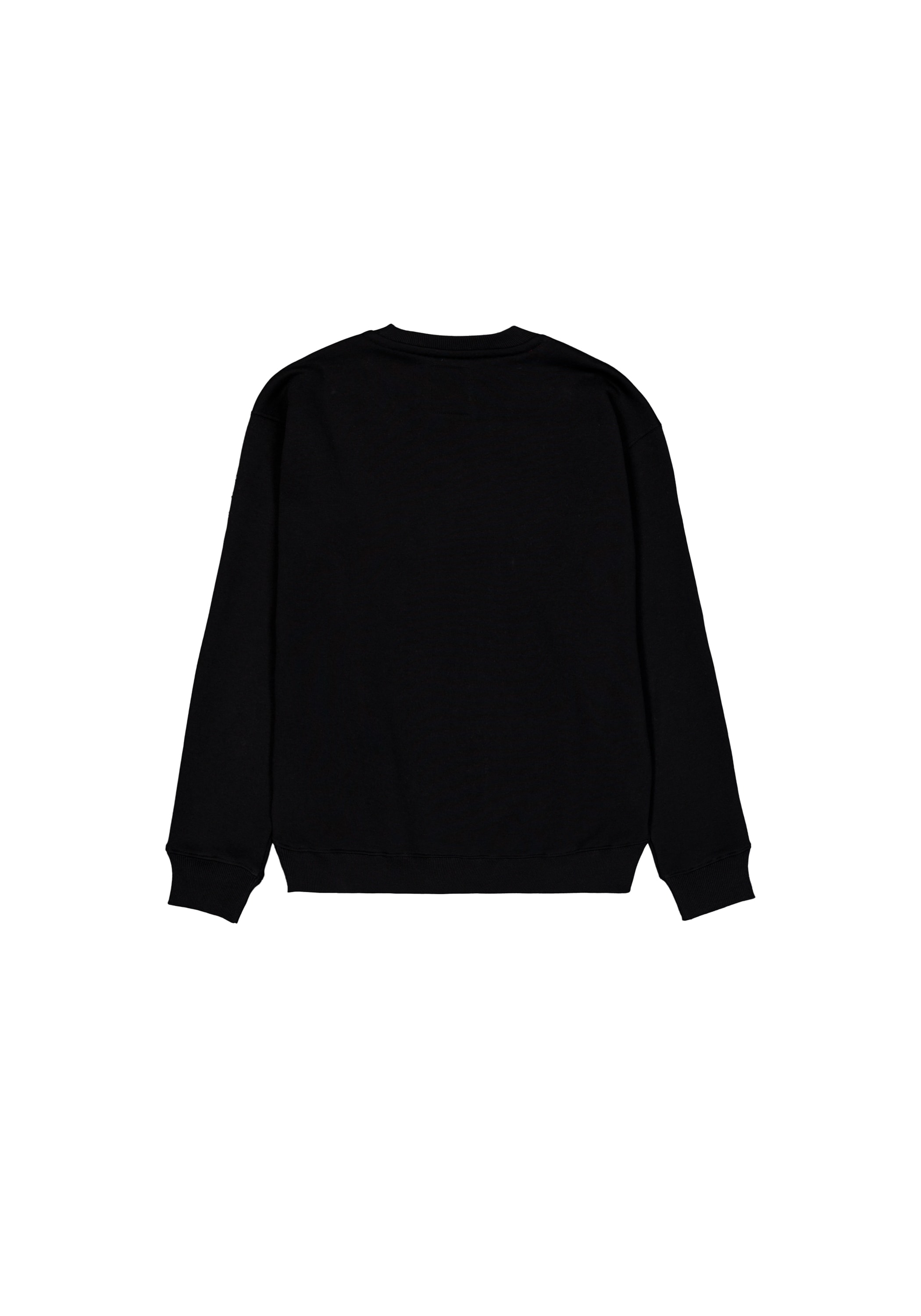 Alpha Industries Sweater »Alpha Industries Men - Sweatshirts Camo Sleeve Sweatshirt«