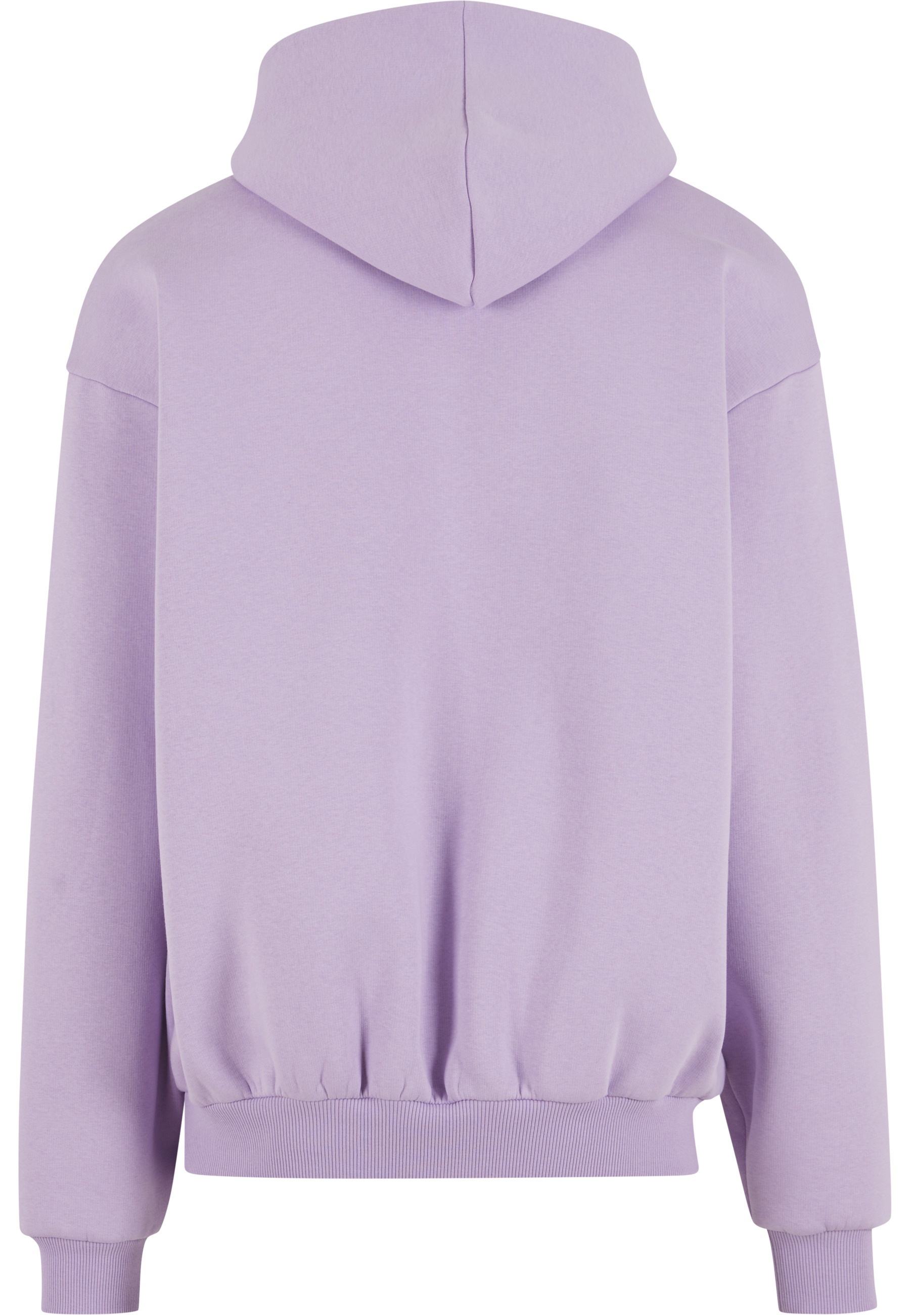 Karl Kani Kapuzenpullover "Karl Kani Small Signature Essential Os Hoodie" 1 günstig online kaufen