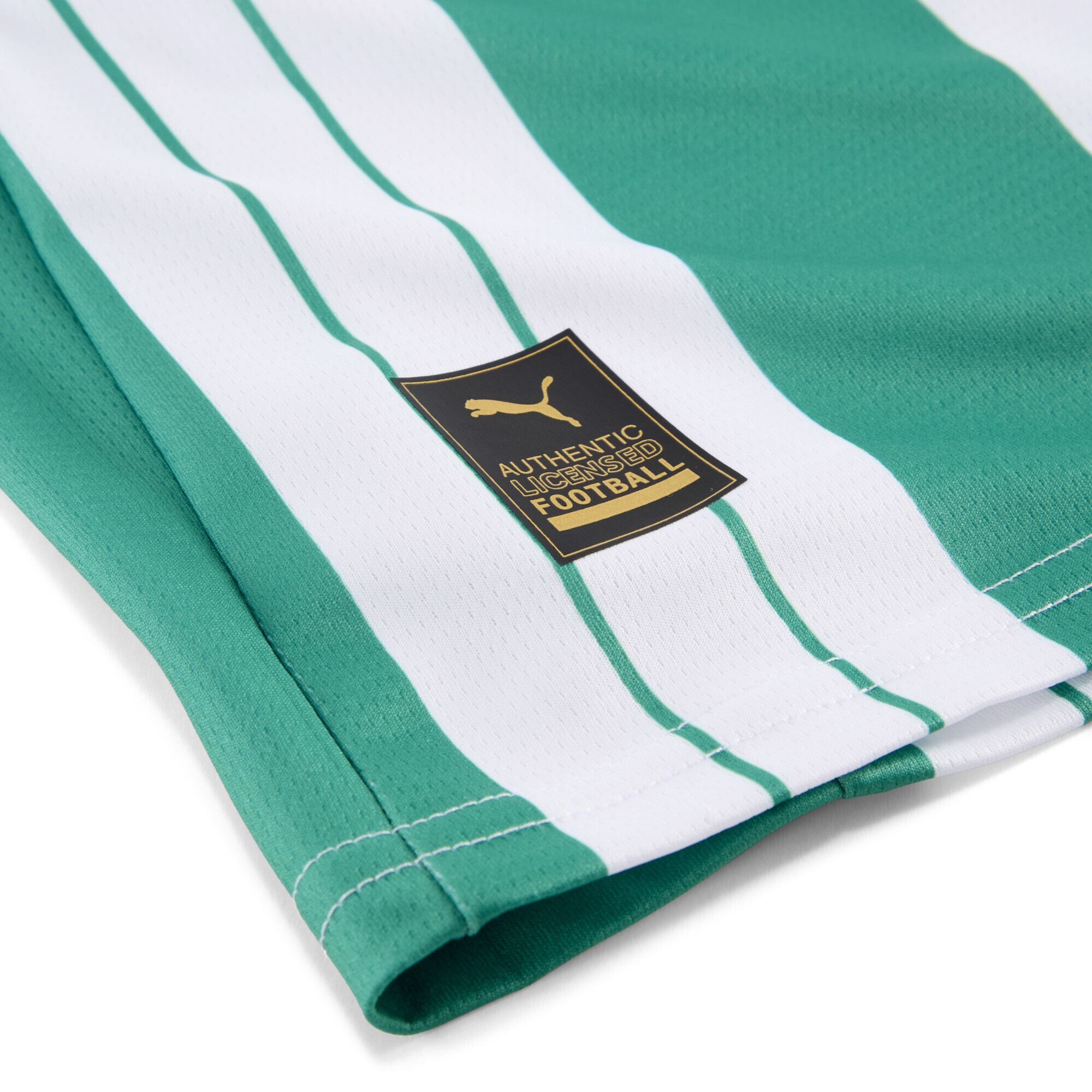 PUMA Trainingsshirt »SK Rapid Wien 25/26 Heimtrikot Herren«