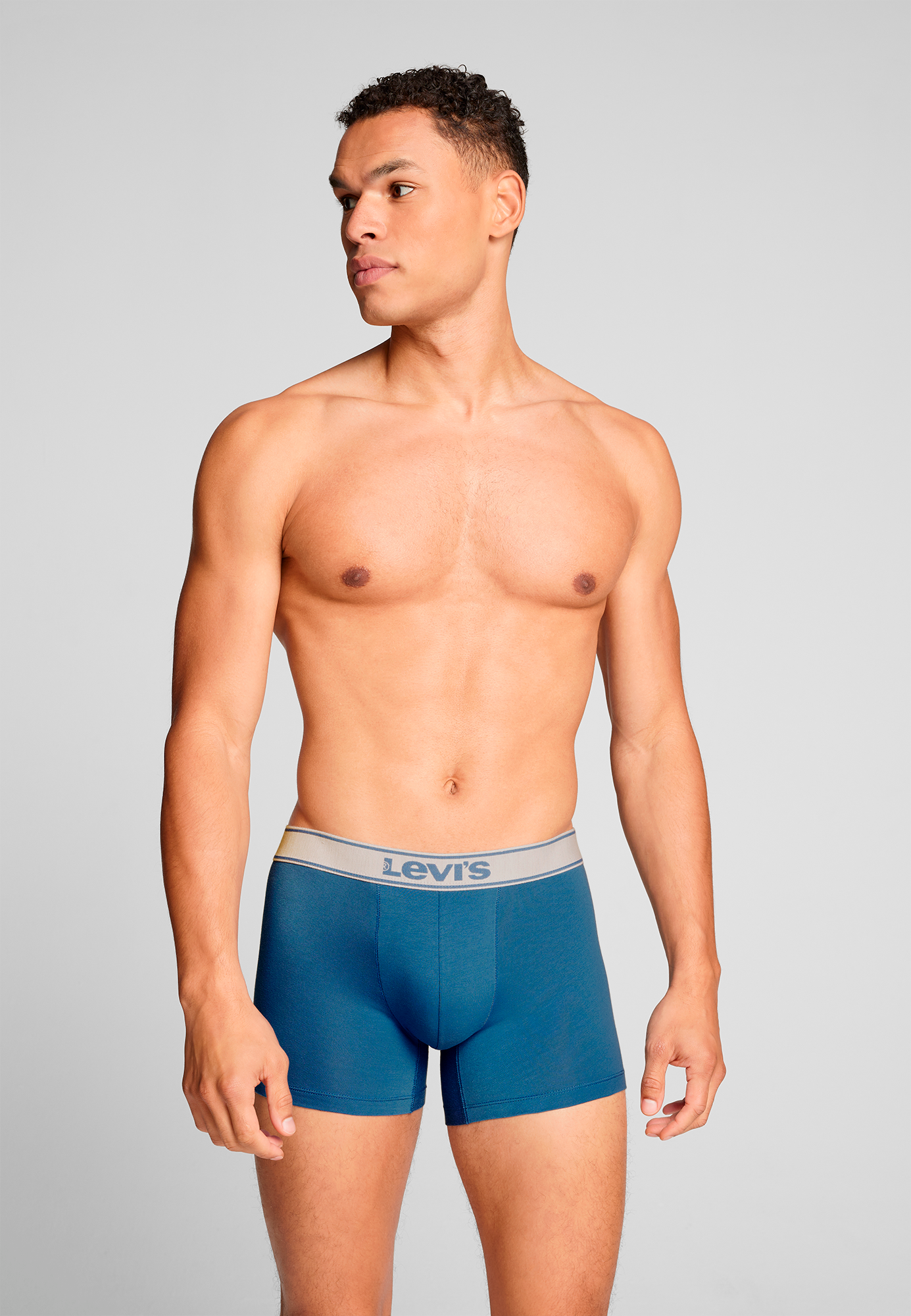 Levis Boxershorts "LEVIS MEN VNTG HTR BOXER BRIEF ORG CO 2P", mit breitem L günstig online kaufen