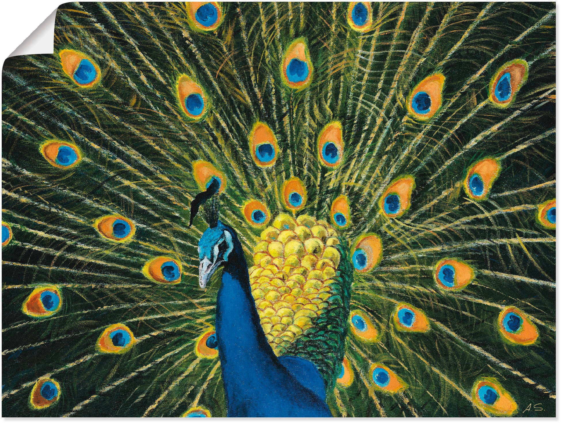 in Vögel, Größen Wandaufkleber »Pfau«, oder Leinwandbild, | Poster kaufen Alubild, als Wandbild BAUR Artland (1 versch. St.),