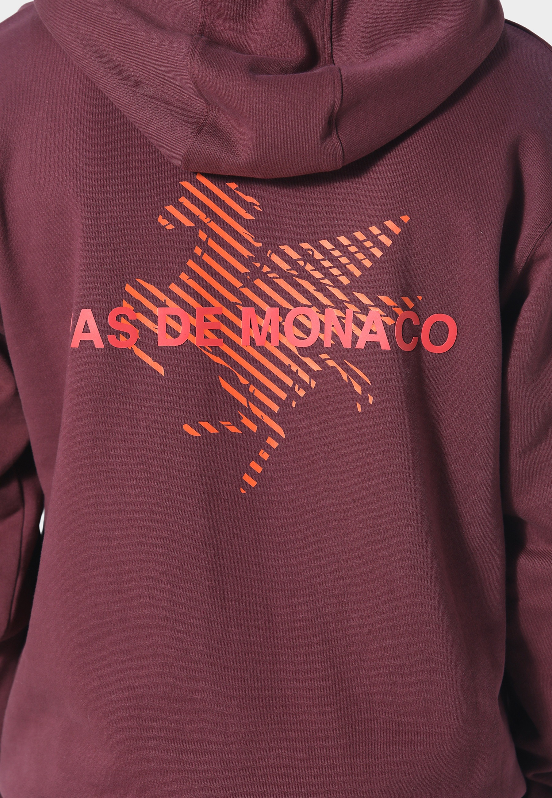 Pas De Monaco Kapuzensweatshirt »Pas De Monaco LA PEGAUS CHEVRON HOODY«, 1
