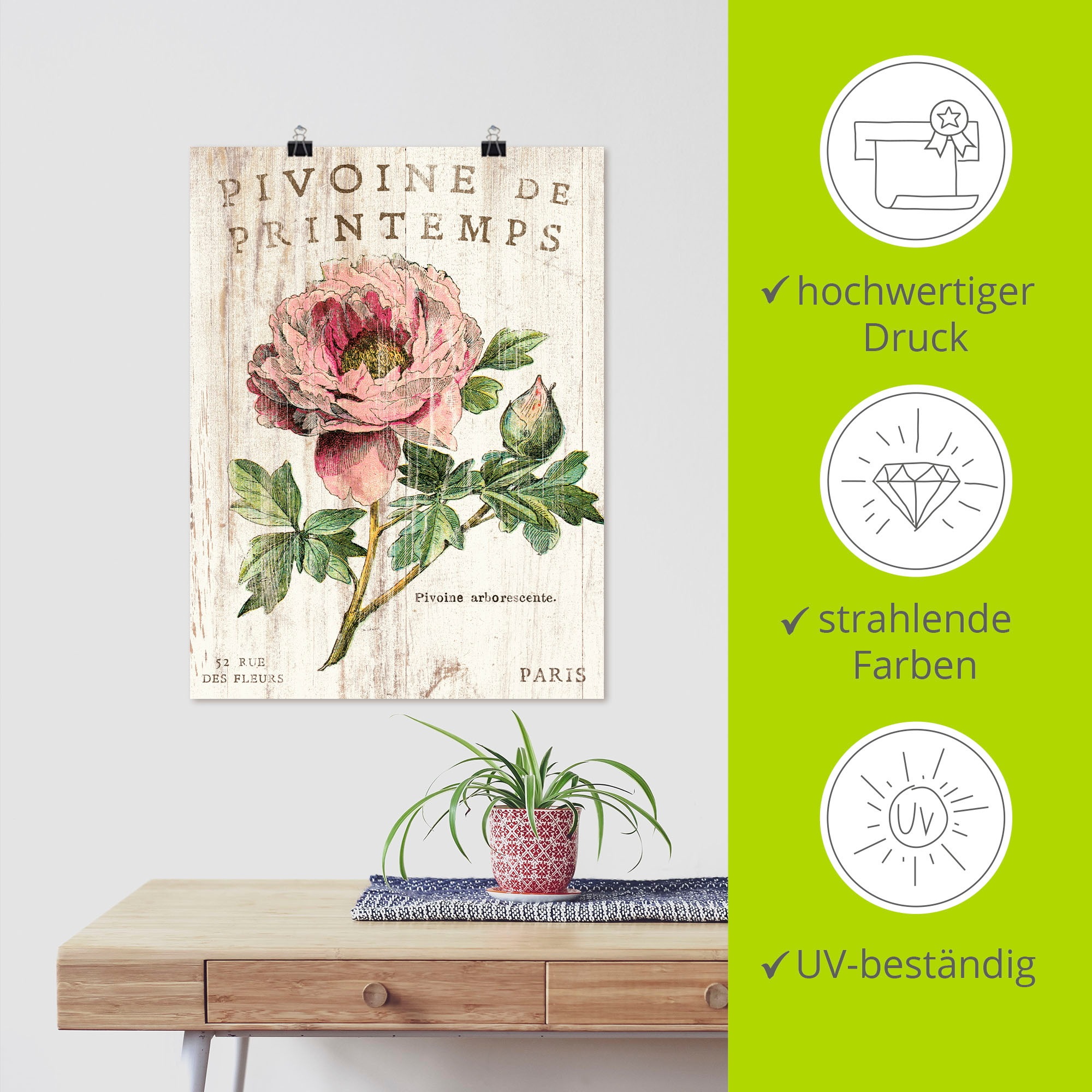 Artland Poster »Pfingstrose« Blumen 1 Stk. tlg. als Leinwandbild, Poster, Wandaufkleber in verschied. Größen