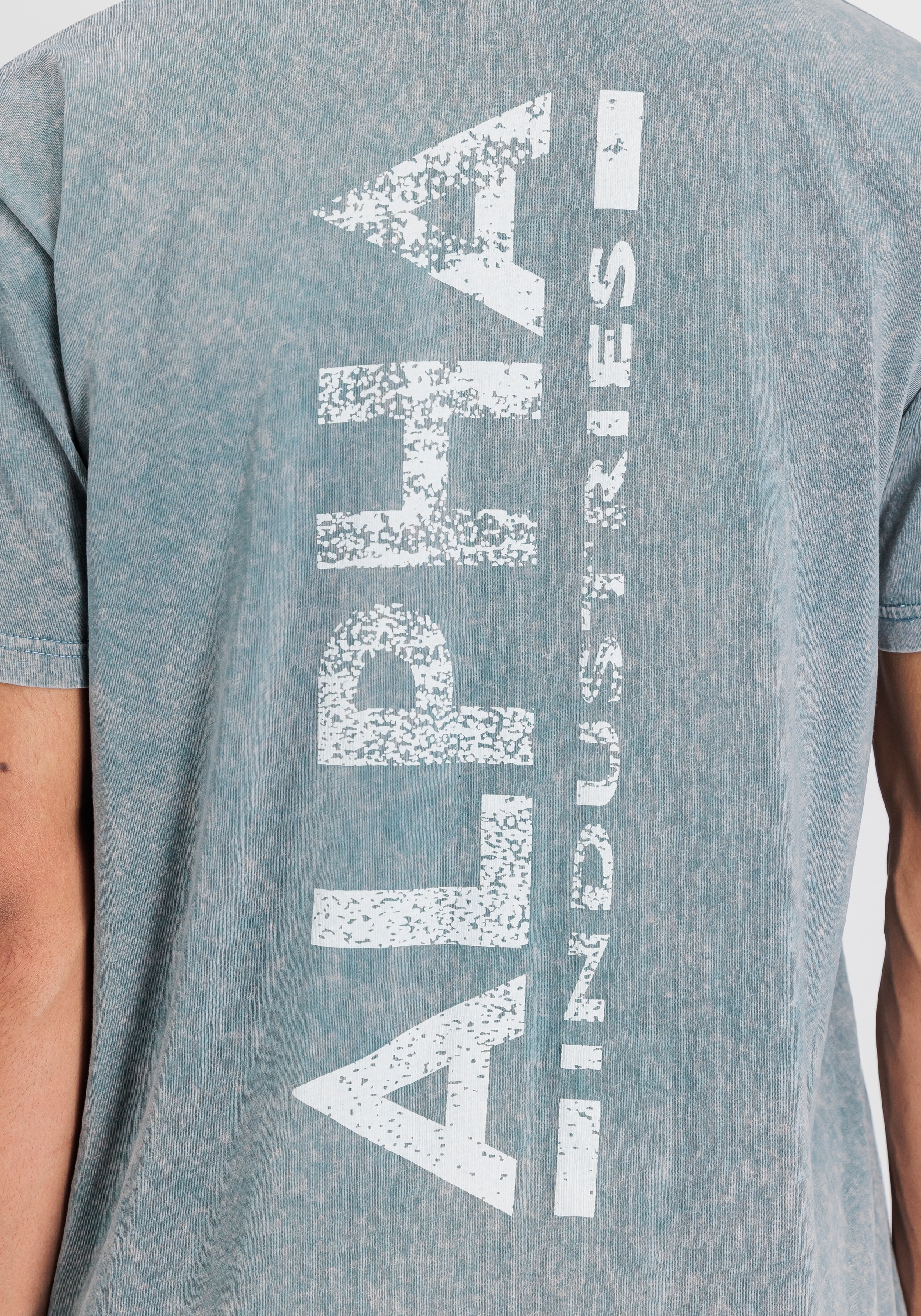 Alpha Industries T-Shirt »Vintage Backprint T-Shirt«