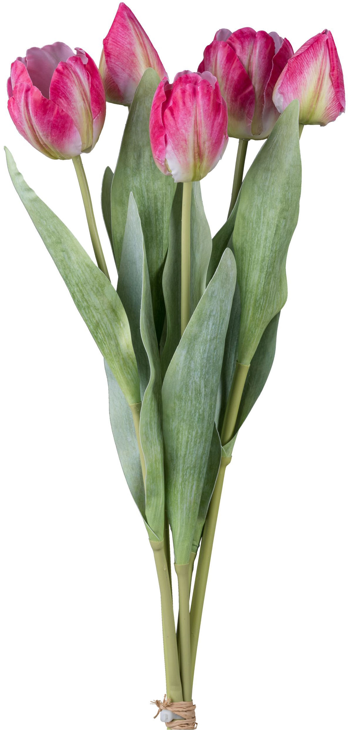 Creativ green Kunsttulpe »Bund iš Tulpen« su 5 Stiel...