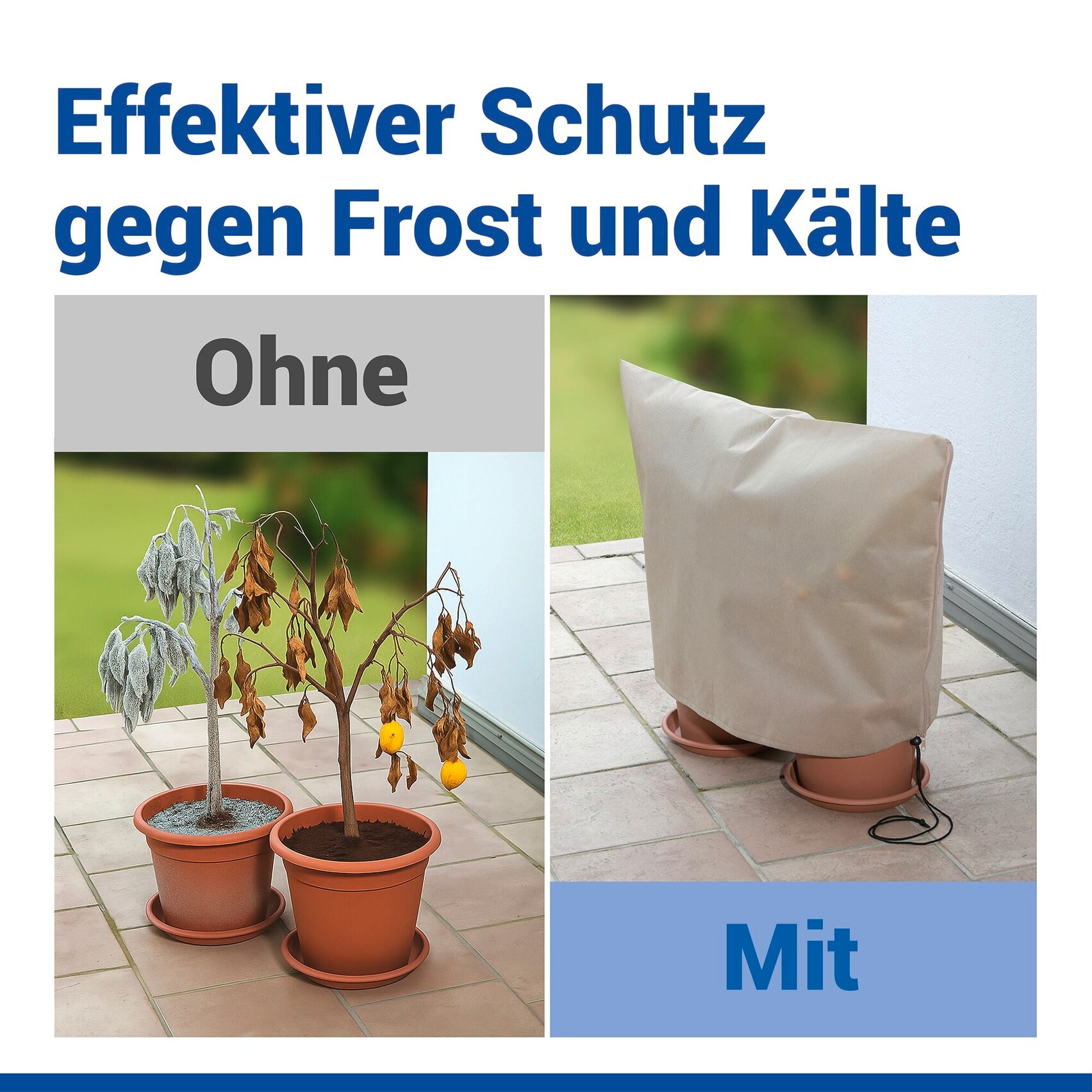 Maximex Winterschutzhaube »Pflanzenschutz-Vlies, 80x60 cm« reißfestes Vlies, mit Reißverschluss und Zugband, BxH: 30x40 cm
