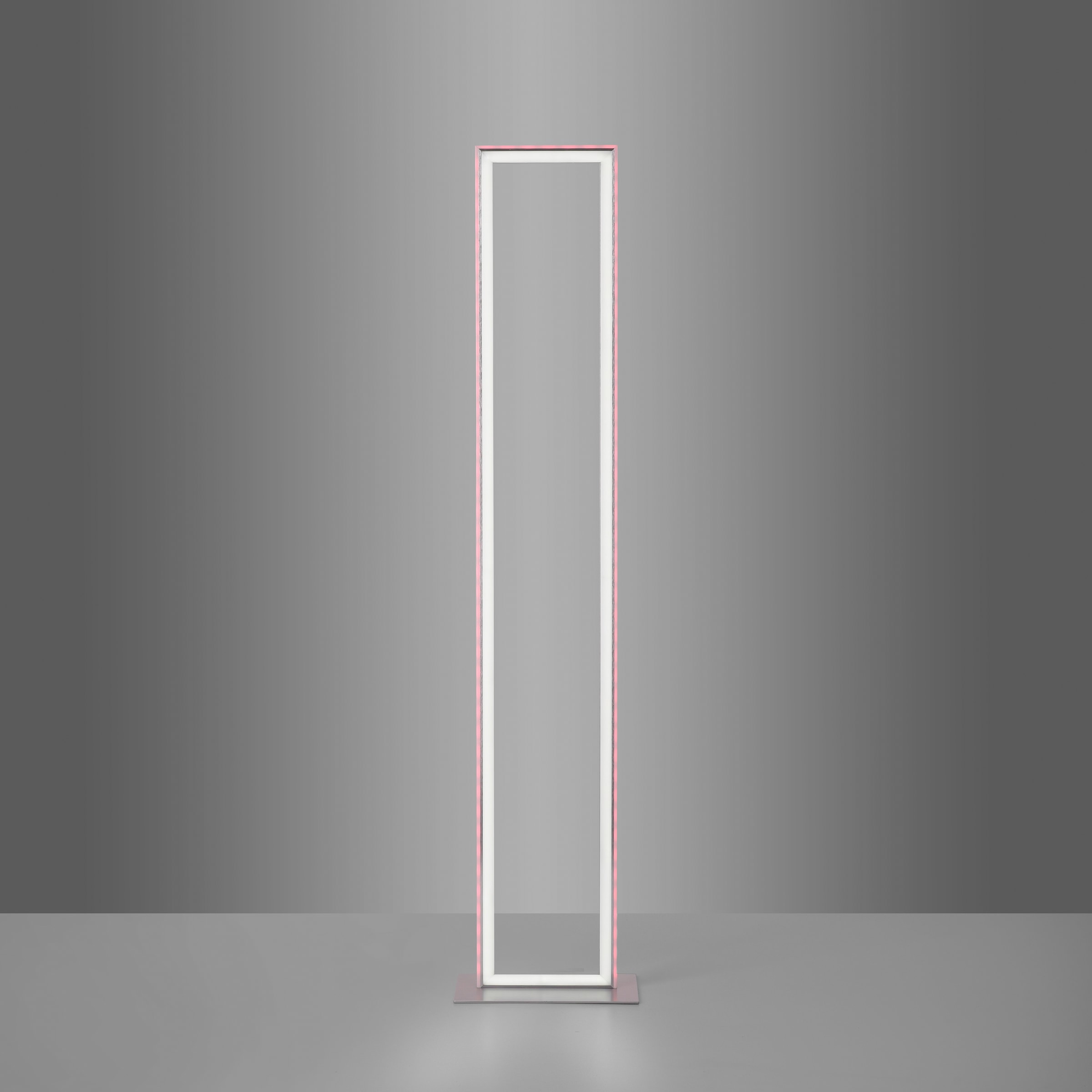 my home LED Stehlampe »Luan«, 2 flammig-flammig, Downlight: 2700-5000K, Sidelight: Rainbow-RGB, Infrarot-Fernbed. inkl.
