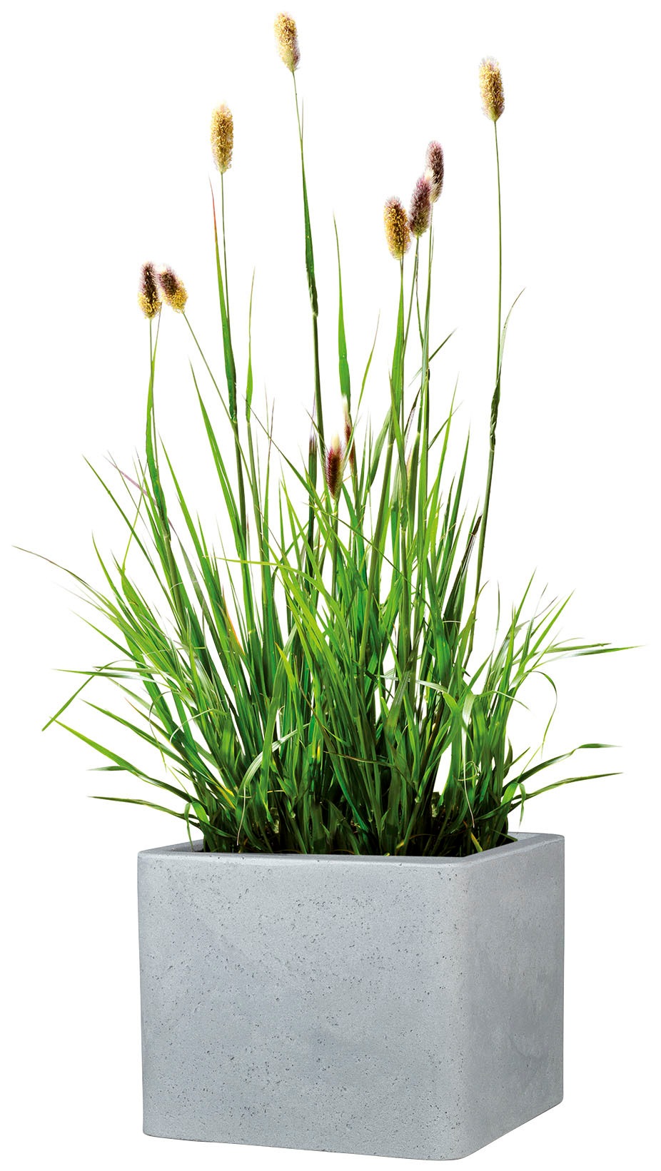 Scheurich Blumentopf »40/140 ALEA UET«