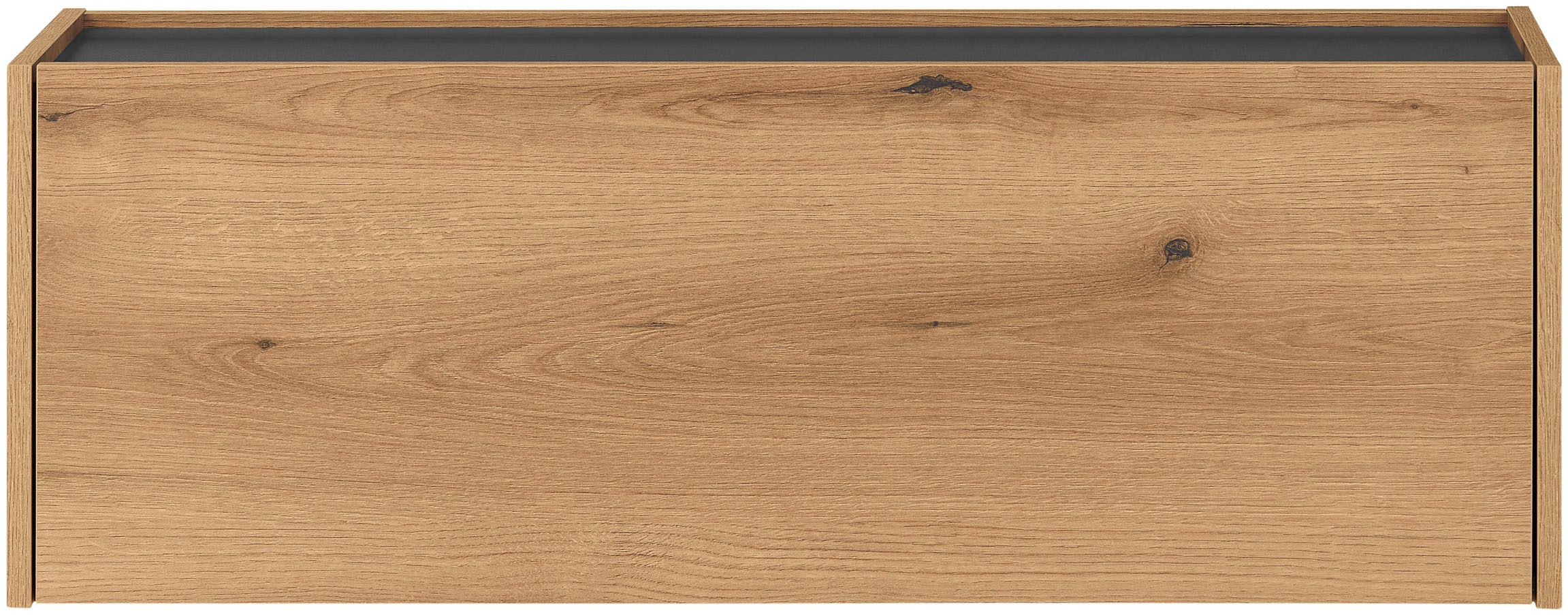 Home affaire Mehrzweckschrank "GiRON/CiTY, Wandgarderobe in vier Farben, Wandschrank" zeitloses Design, Breite 100 cm, großes Fach