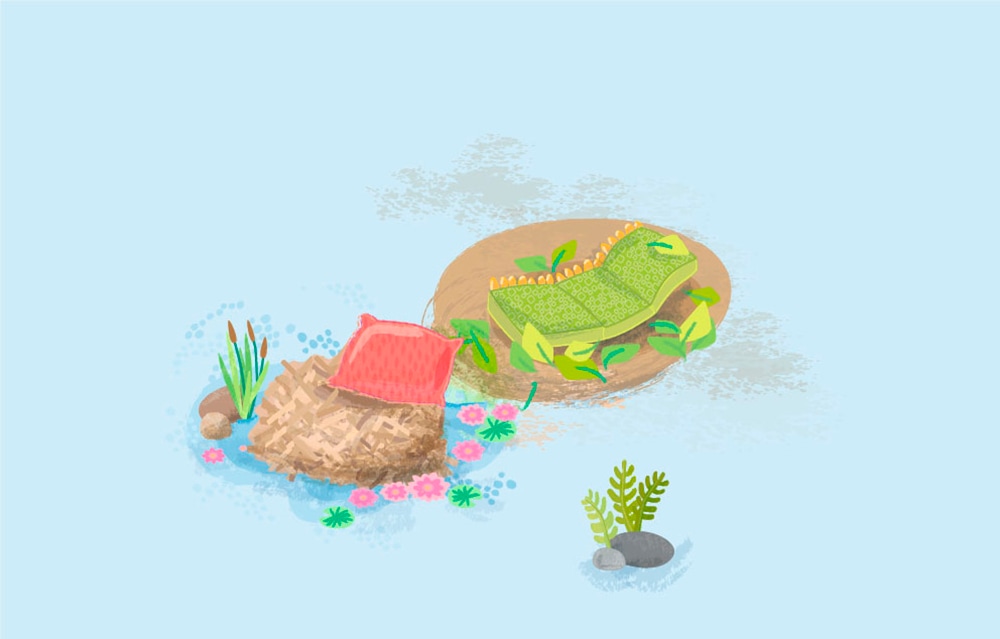 Haba Spiel »Meine ersten Spiele - Wir verarzten Tiere«