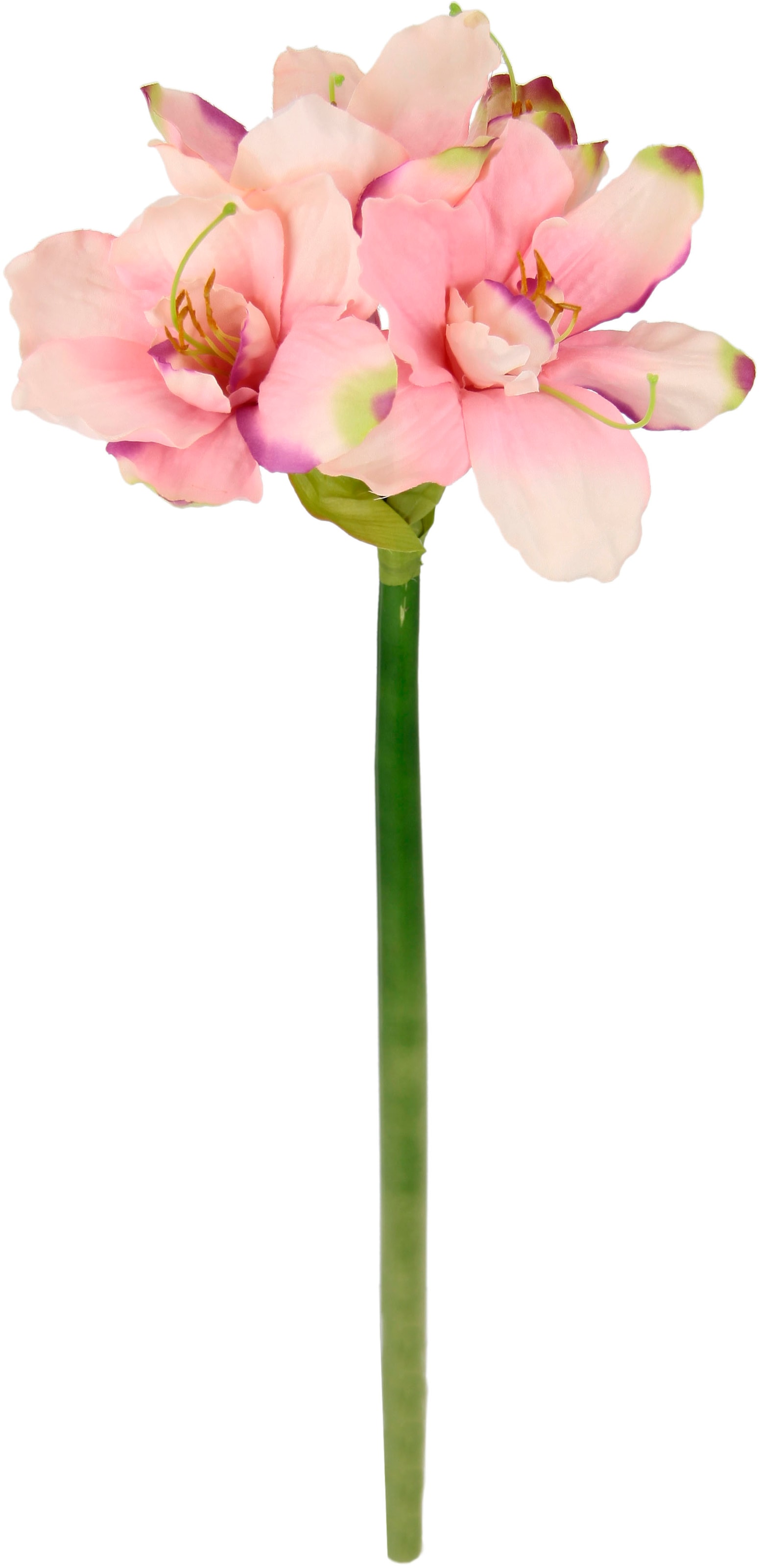 I.GE.A. Kunstblume »Amaryllis«, Kunst-Stielblume, 3er Set