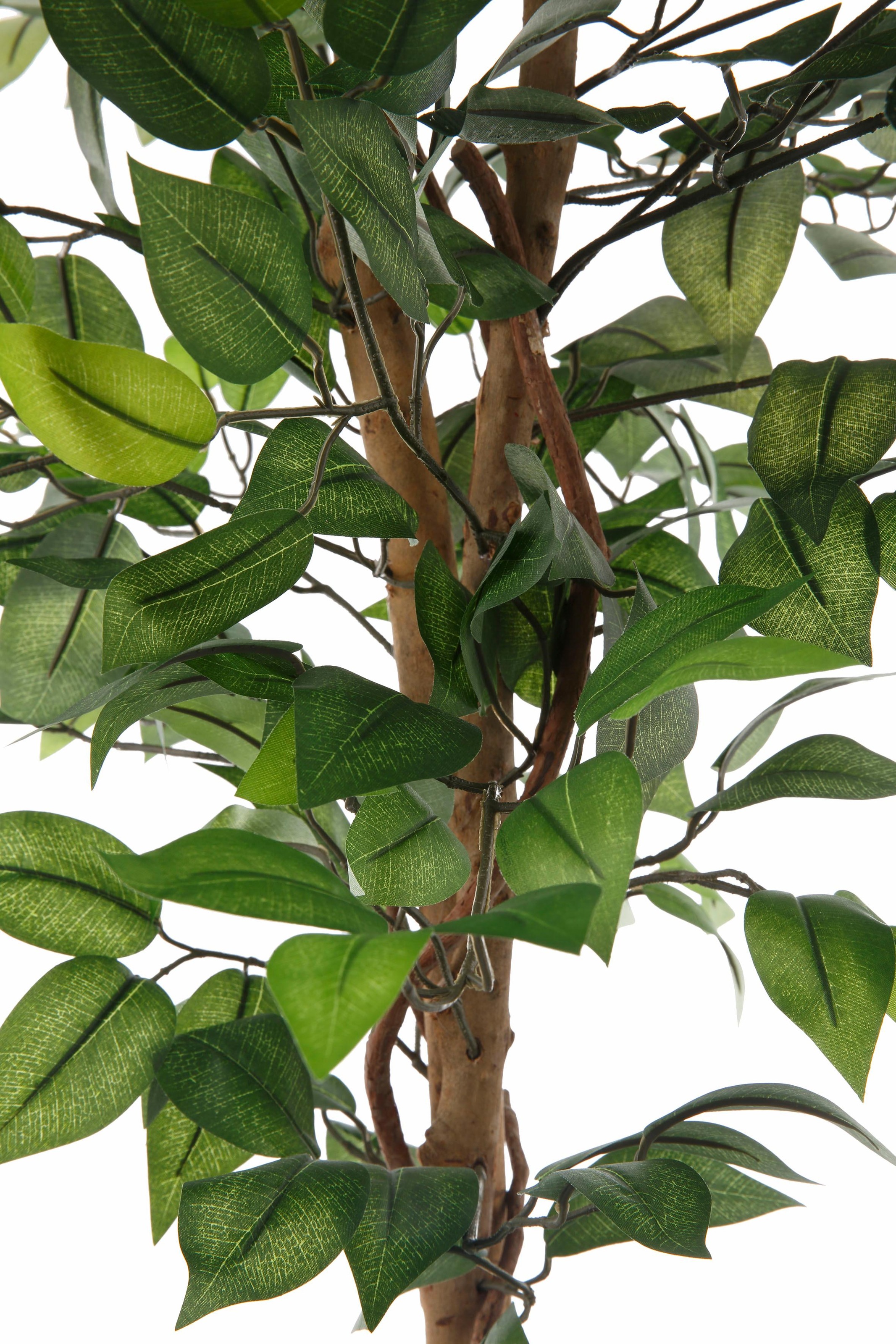 Creativ Green Ficus Benjamini Artificial Plant Green 120cm 3