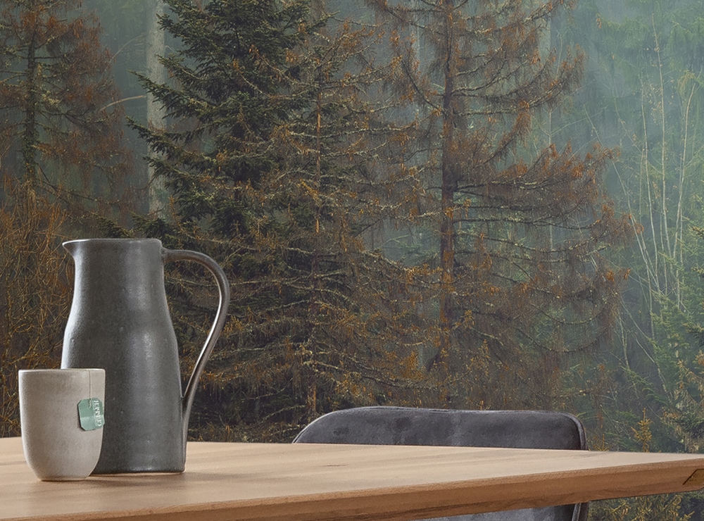 Komar Fototapete »Vlies Fototapete - Foggy Firs - Größe 400 x 250 cm« Motiv | bedruckt glatt