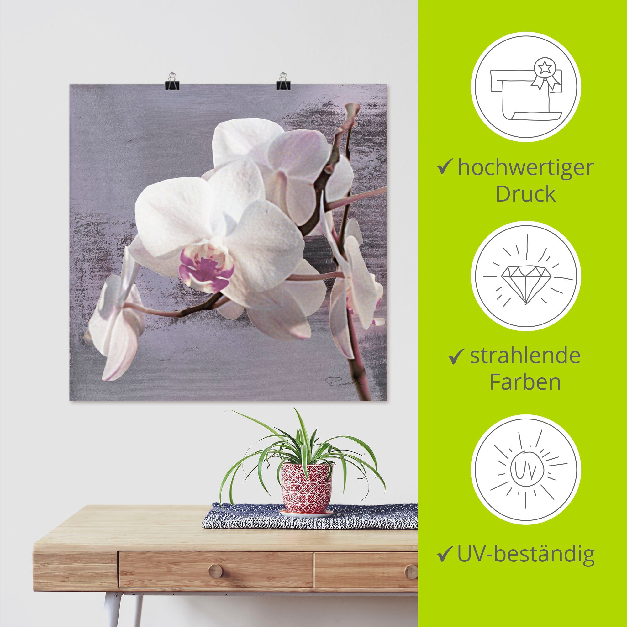 Artland Wandbild »Orchideen vor Violett I«, Blumen, (1 St.), als Alubild, Outdoorbild, Leinwandbild, Poster, Wandaufkleber