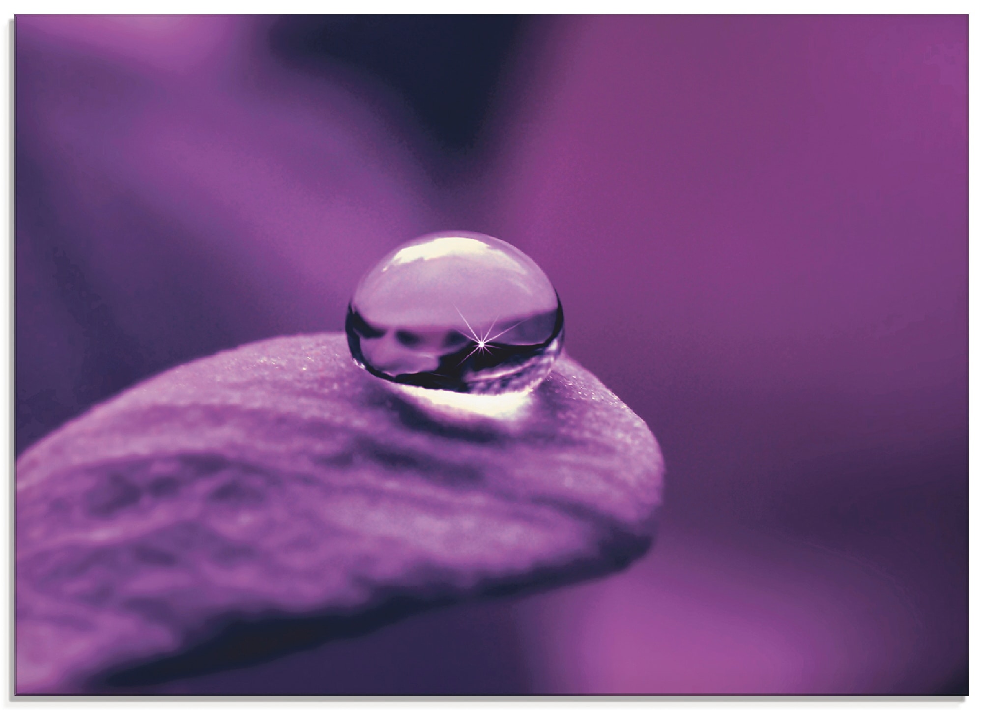 Artland Glasbild "Amethyst" Blumen 1 Stk. tlg. in verschiedenen Größen günstig online kaufen