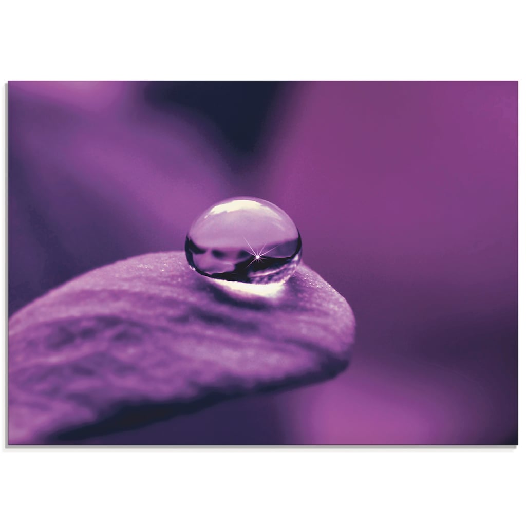 Artland Glasbild »Amethyst«, Blumen, (1 St.)