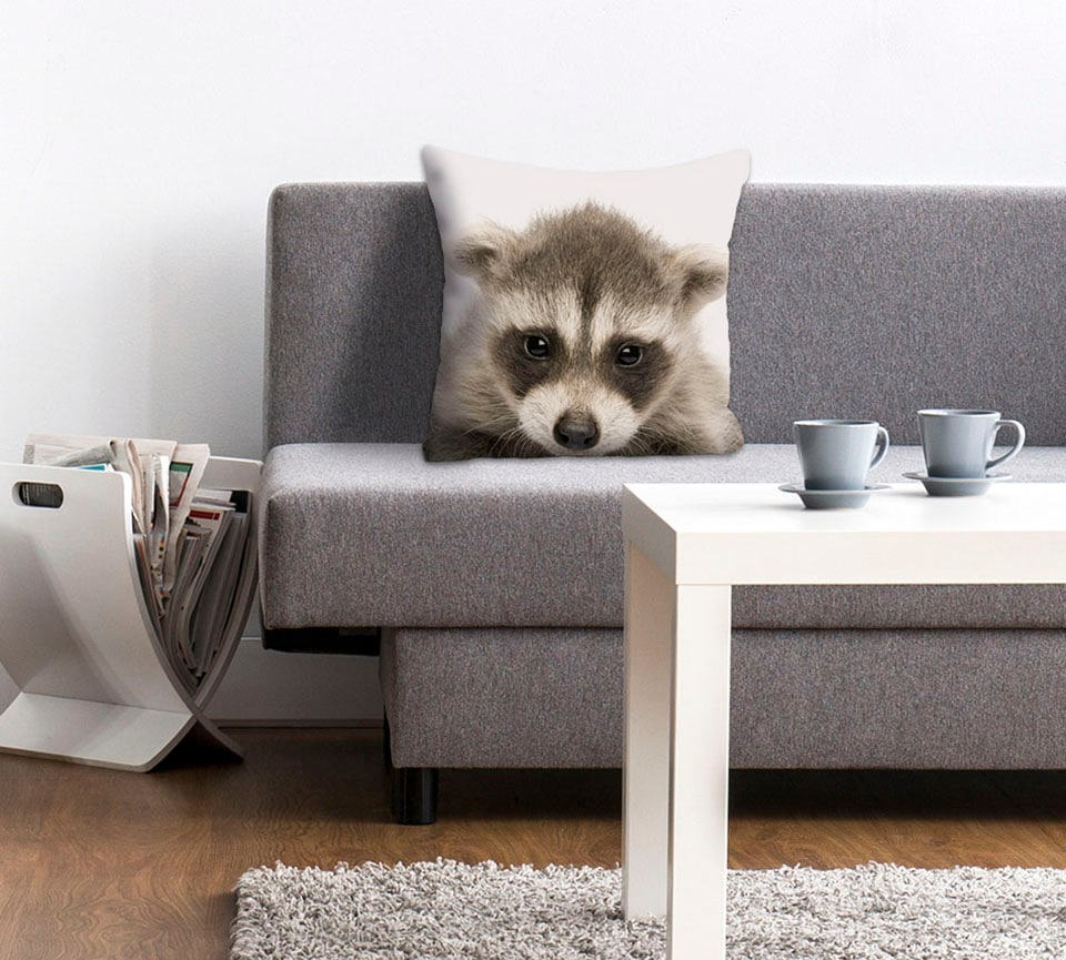 queence Dekokissen "Dean" Kissenhülle,Waschbär,Lustig,Tiere,Niedlich,Freund günstig online kaufen