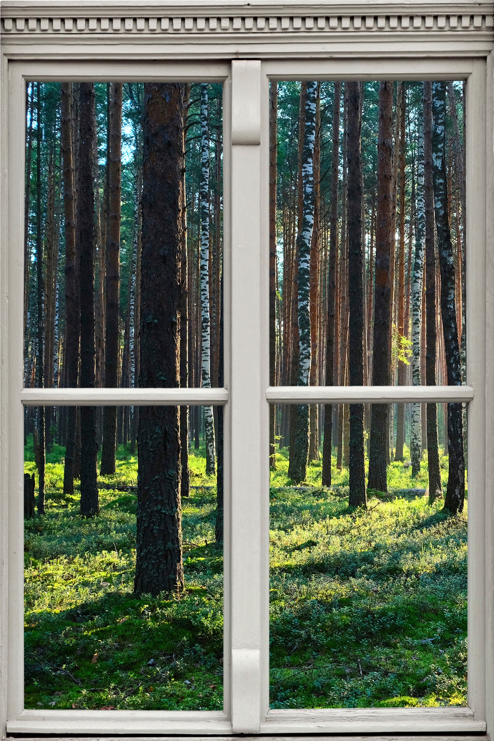 queence Wandsticker "Wald", Wandsticker, Wandbild, selbstklebend, 3D, Fenster