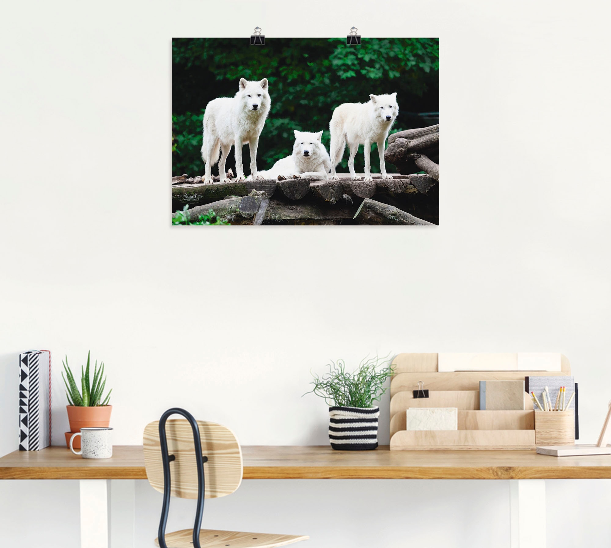 Artland Wandbild »Arktische Wölfe«, Wildtiere, (1 St.), als Alubild,  Leinwandbild, Wandaufkleber oder Poster in versch. Größen bestellen | BAUR