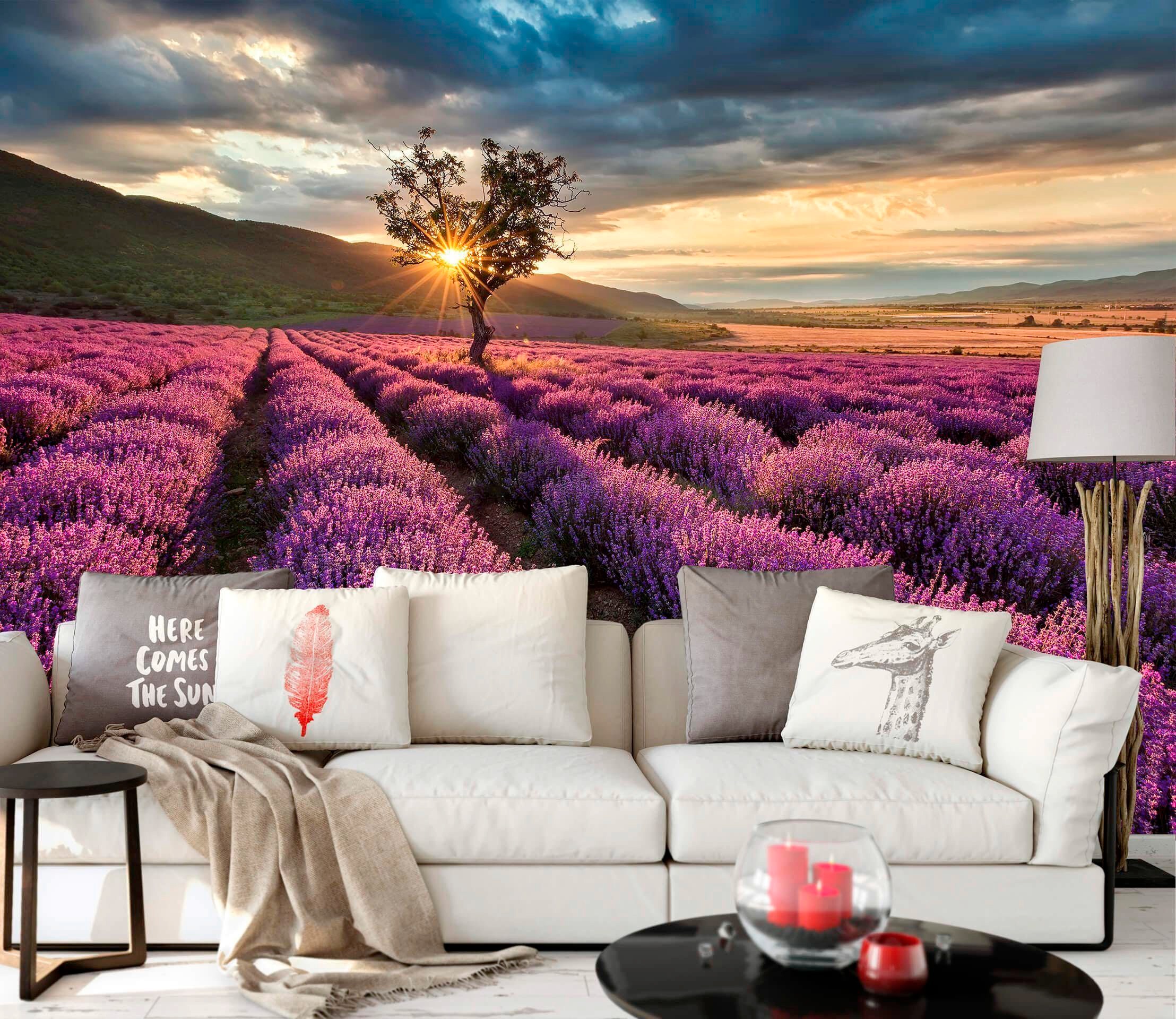 living walls Fototapete »Lavendelfeld Lavendelblüte«, Vlies, Wand, Schräge  online kaufen | BAUR