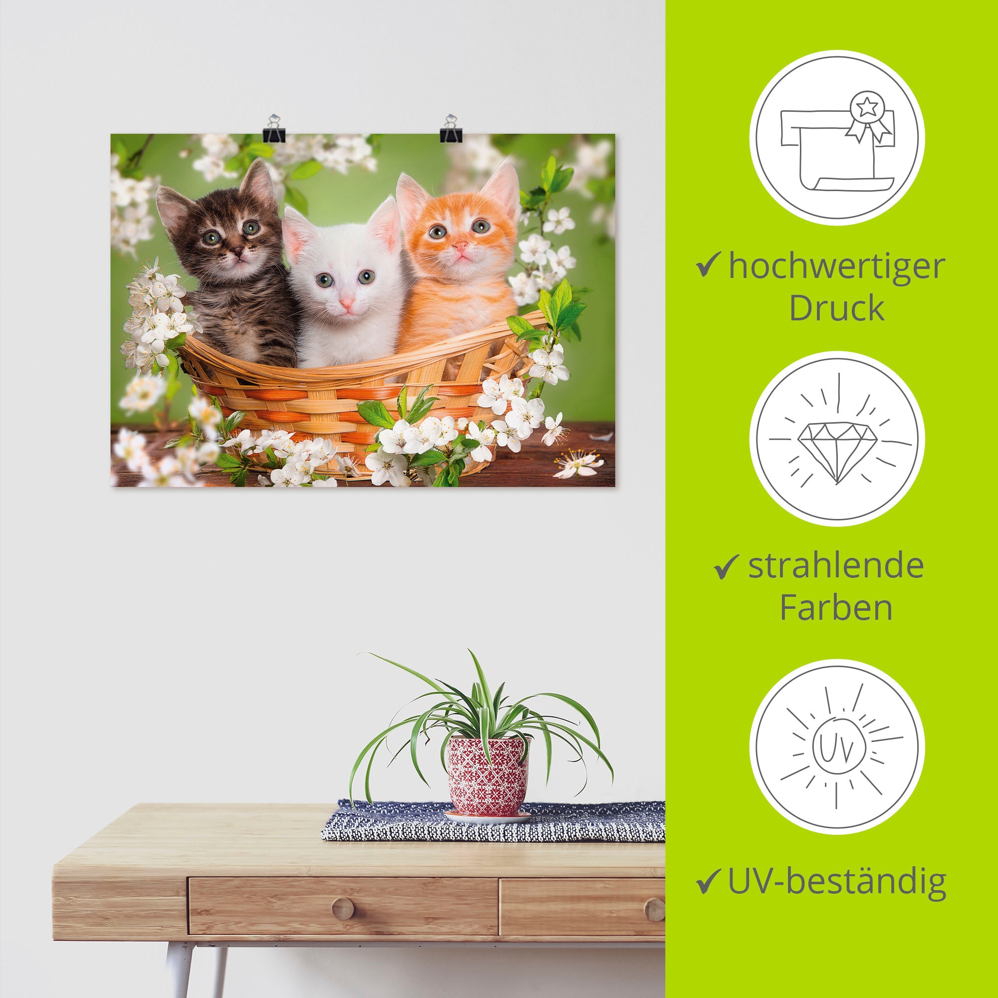 Artland Wandbild »Katzen sitzen in einem Korb«, Haustiere, (1 St.), als Leinwandbild, Poster, Wandaufkleber in verschied. Größen