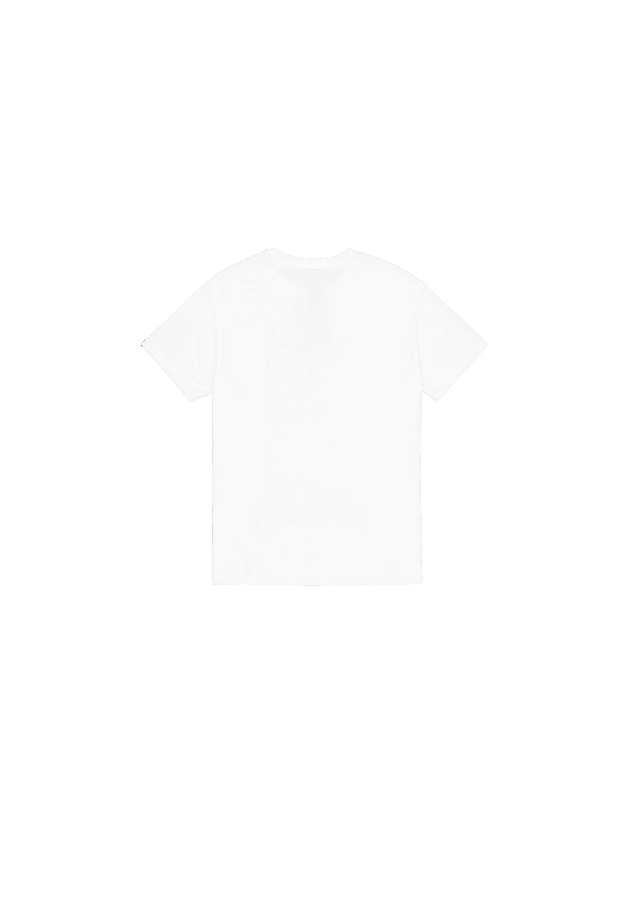 Alpha Industries T-Shirt "Grunge Logo T-Shirt" günstig online kaufen