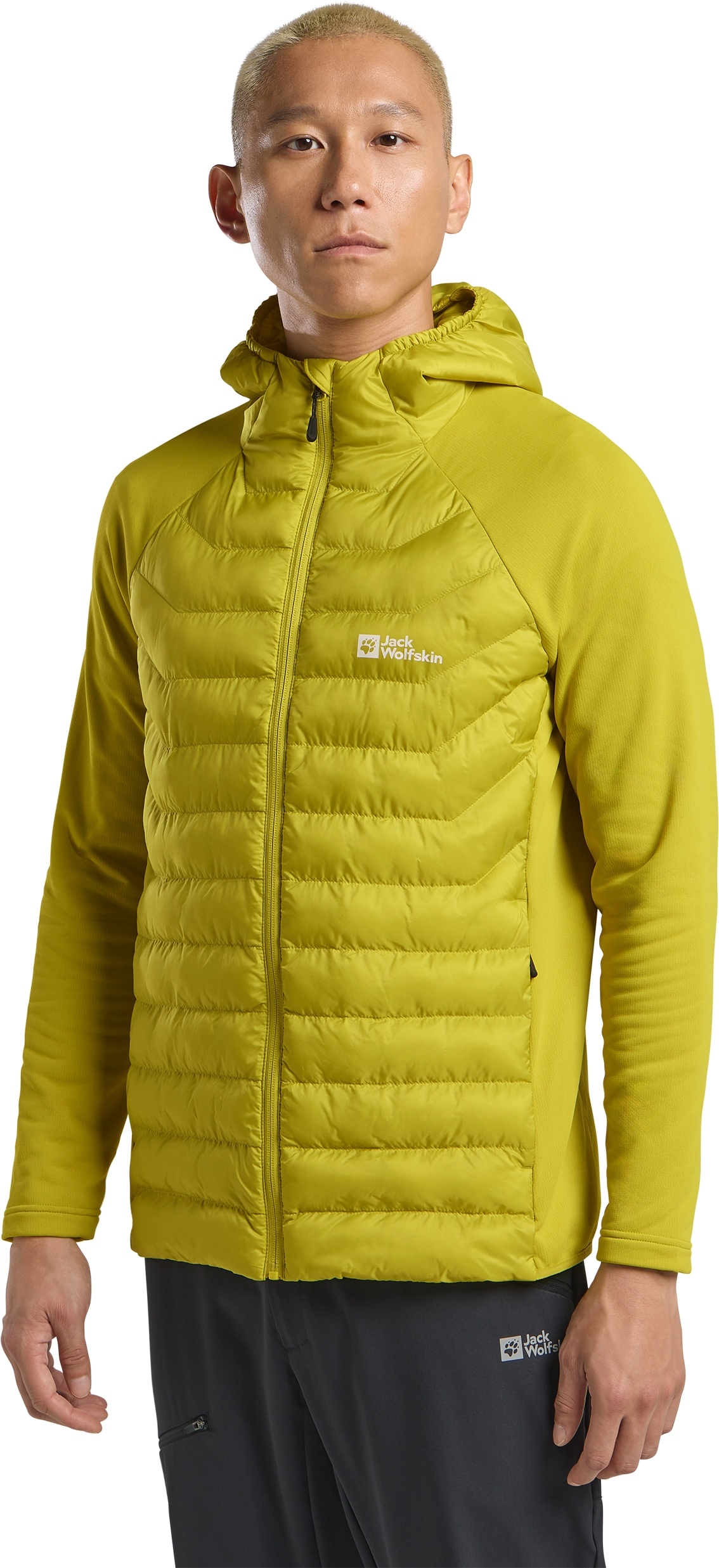 Jack Wolfskin Hybridjacke »ROUTEBURN PRO HYBRID M«, mit Kapuze