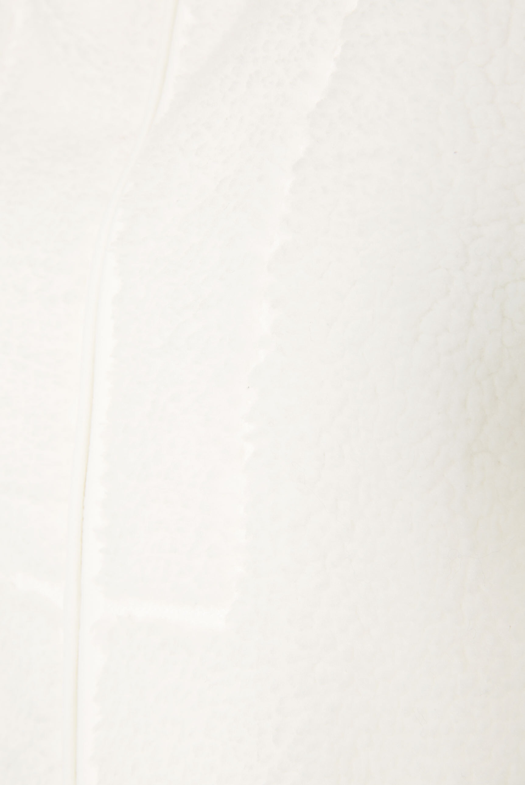 SENSES.THE LABEL Kapuzensweatjacke mit Zwei-Wege-Reißverschluss