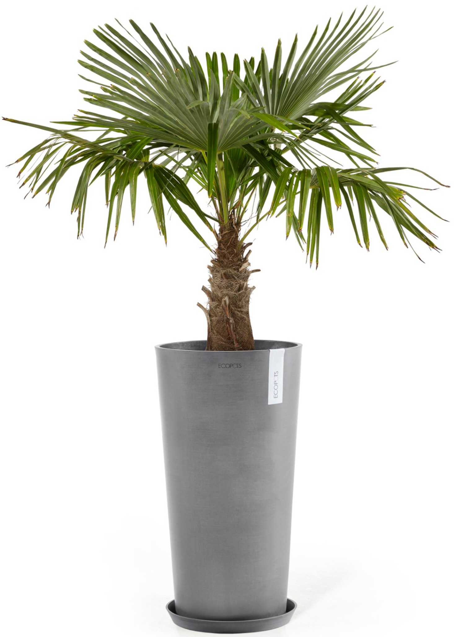 ECOPOTS Blumentopf »Amsterdam extrahoch 90 Grau«, für innen und außen: frostsicher, bruchsicher und lichtbeständig