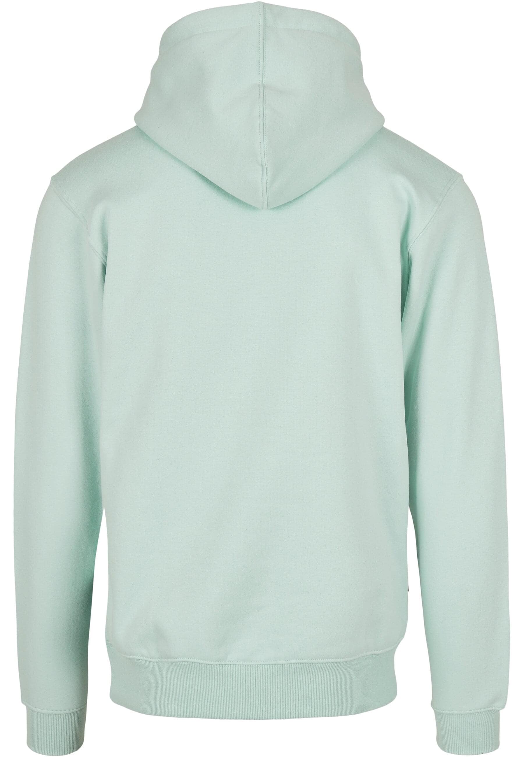 CAYLER & SONS Kapuzensweatshirt »Cayler & Sons Herren C&S Plain Hoody«, (1 tlg.)