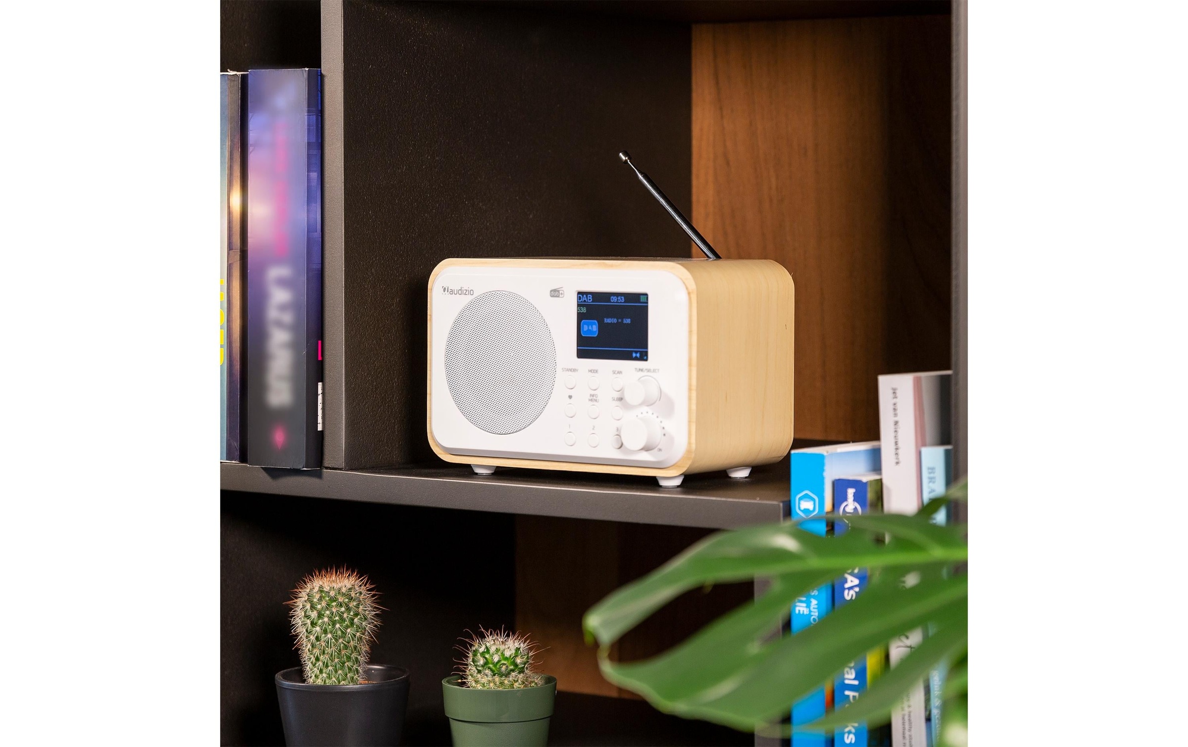 AUDIZIO Digitalradio (DAB+) »Milan« ( Digitalradio (DAB+) | FM-Tuner )