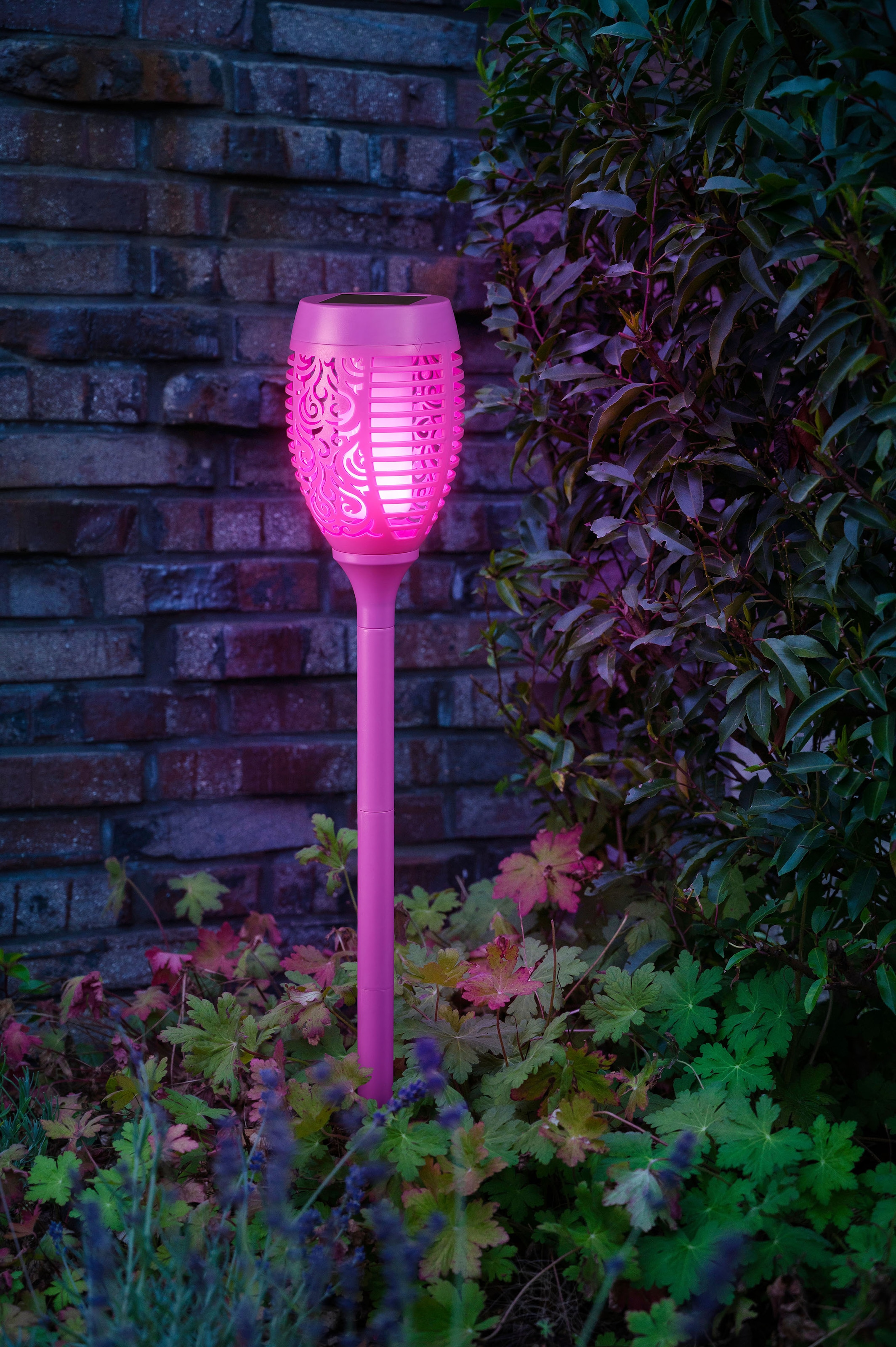 BONETTI LED Gartenfackel, LED Solar Gartenfackel lila mit realer Flamme  kaufen | BAUR | Solarleuchten